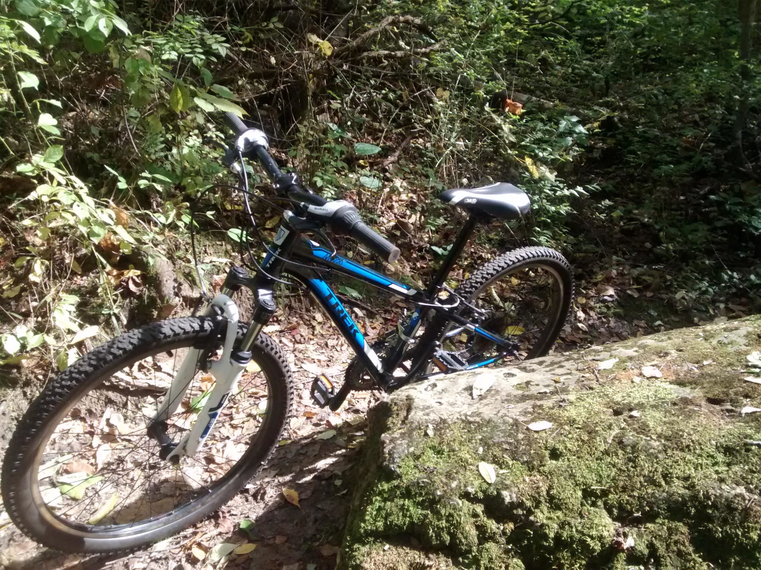 A mountain bike resting against a moss-covered rock in a lush green forest, surrounded by fallen leaves and dense foliage. Rum Village Pathway Mountain Biking Trail mountain bike trail.