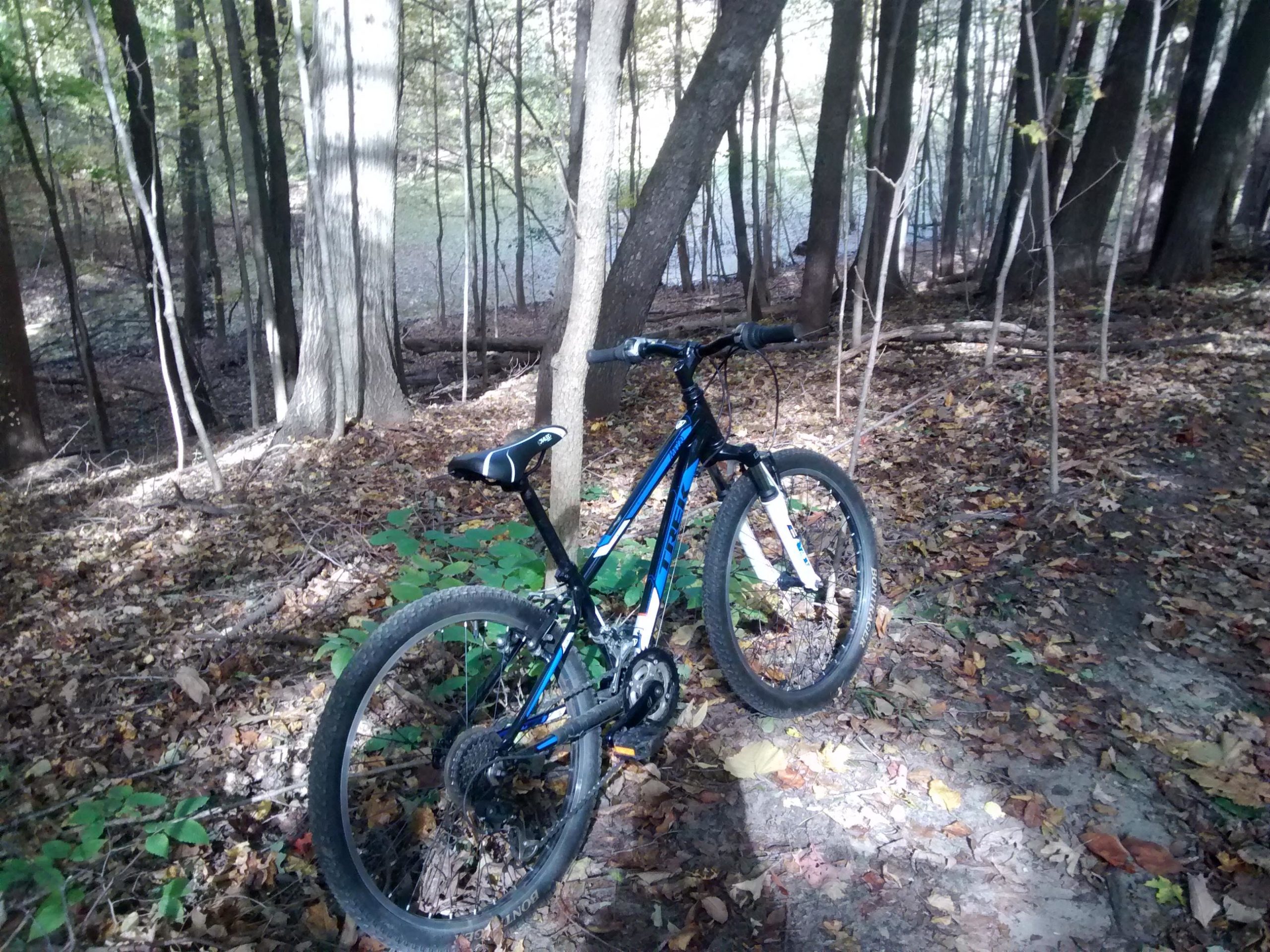 A mountain bike parked on a forest trail surrounded by trees and fallen leaves, with a glimpse of a body of water in the background. Sunlight filters through the trees, illuminating parts of the scene. Rum Village Pathway Mountain Biking Trail mountain bike trail.