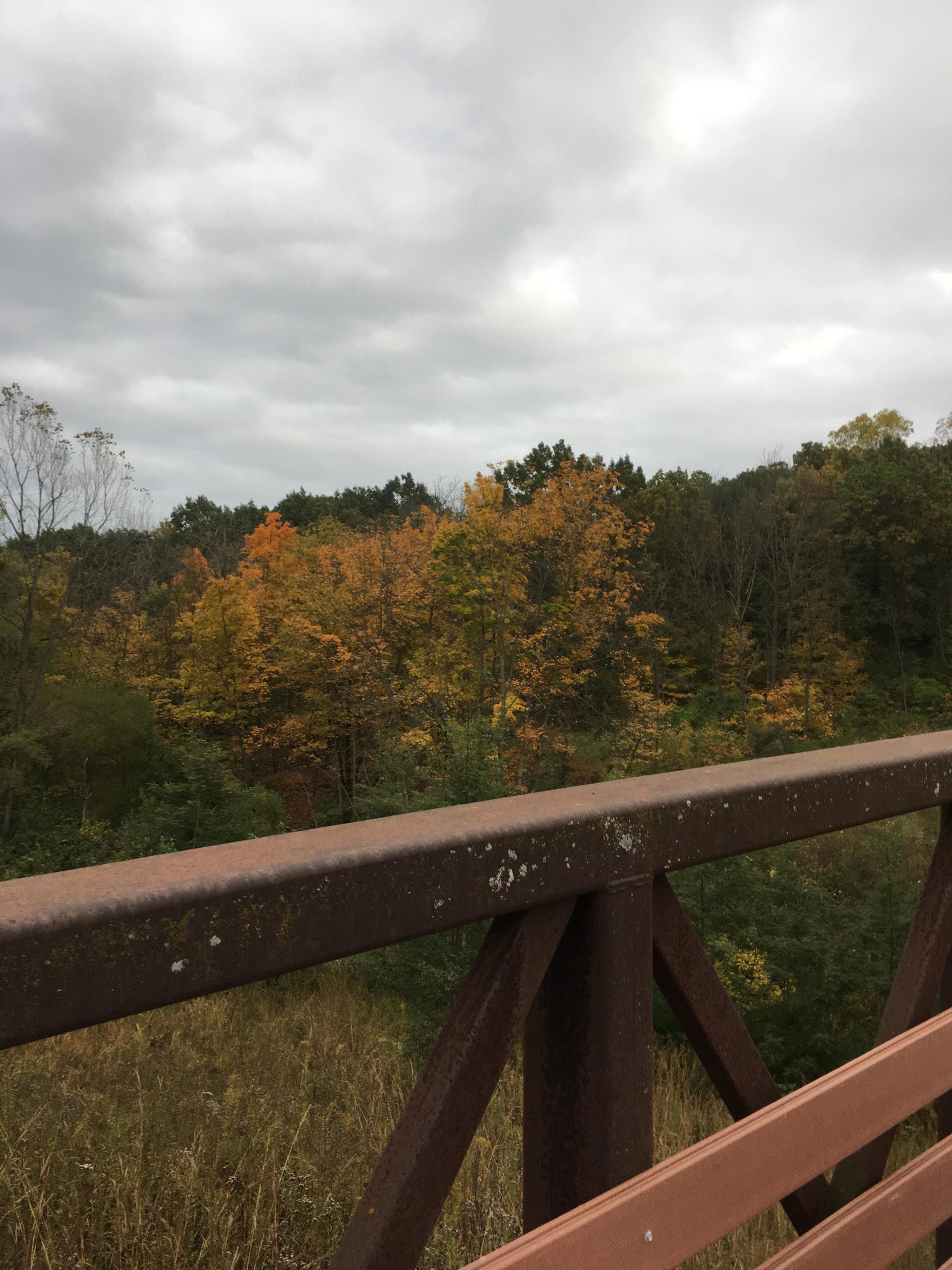 A view of a metal bridge railing in the foreground, with a backdrop of trees displaying autumn foliage in shades of orange and yellow under a gray, cloudy sky. Raceway Woods mountain bike trail.