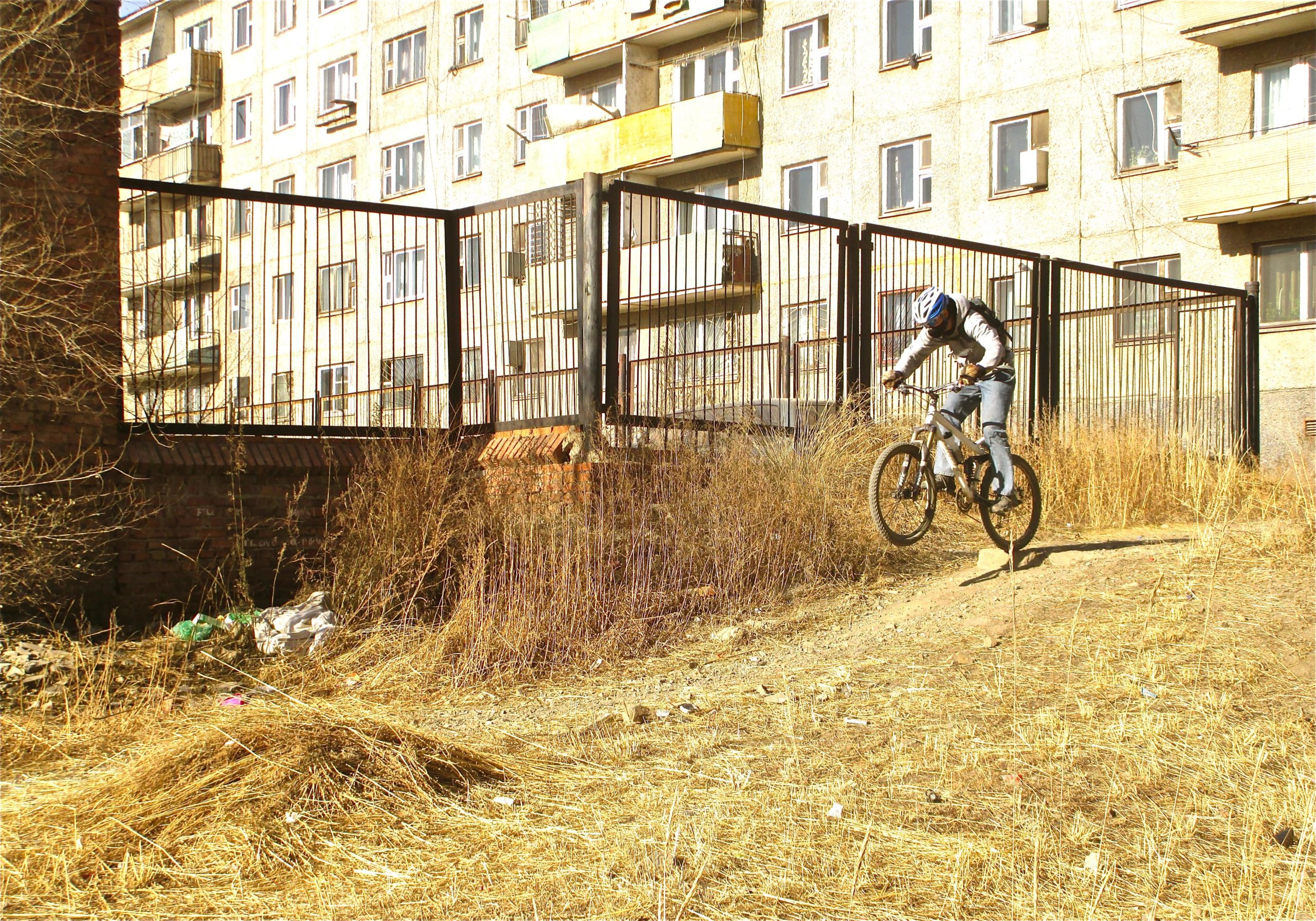 A person in a helmet is riding a mountain bike and performing a jump off a small dirt ramp, with tall grass and a sparse urban background of an apartment building and a fence in the scene. District 15 Network mountain bike trail.
