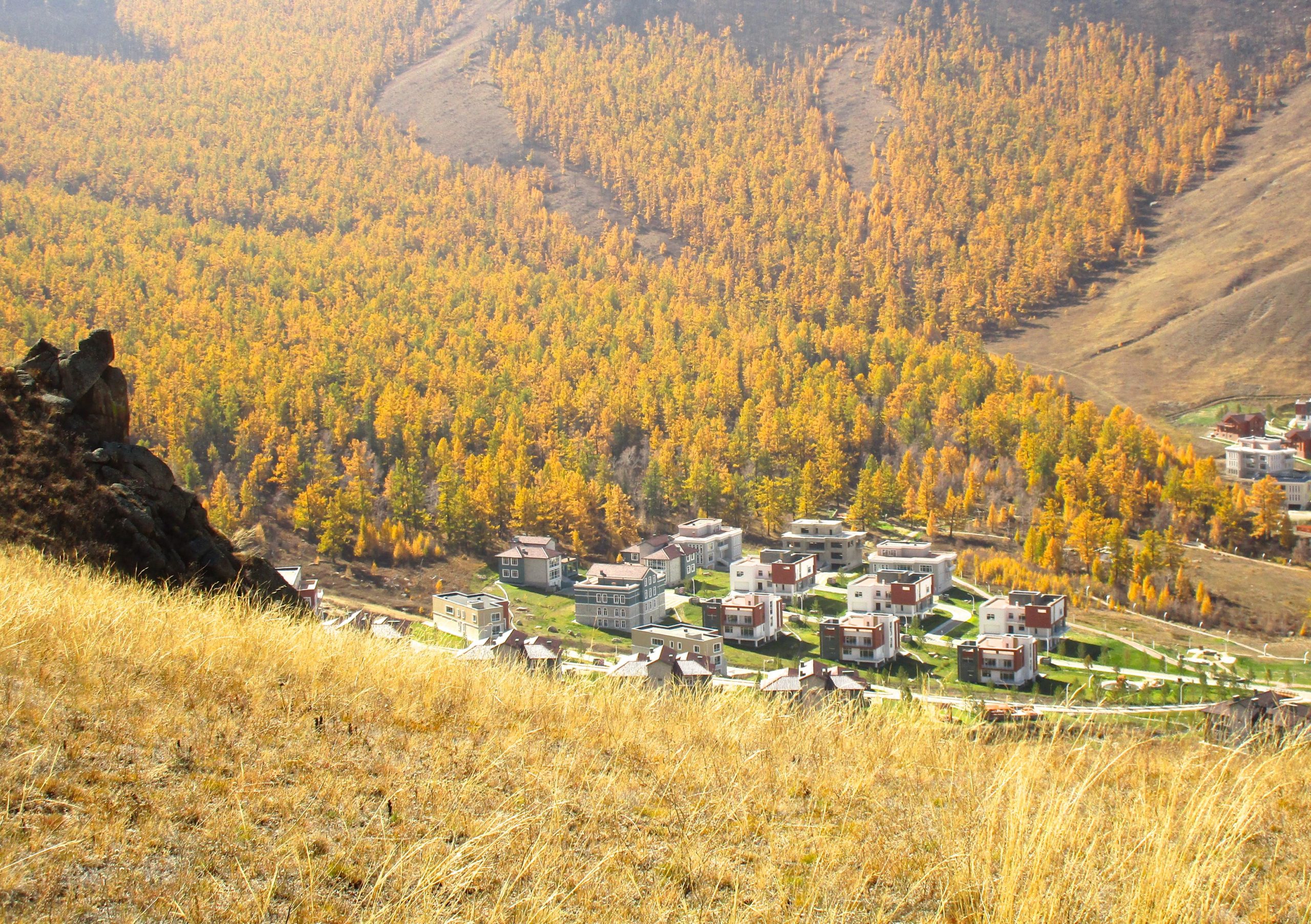A panoramic view of a hillside village surrounded by a forest of vibrant autumn foliage, featuring a mix of contemporary buildings and grassy terrain in the foreground. The Beast mountain bike trail.