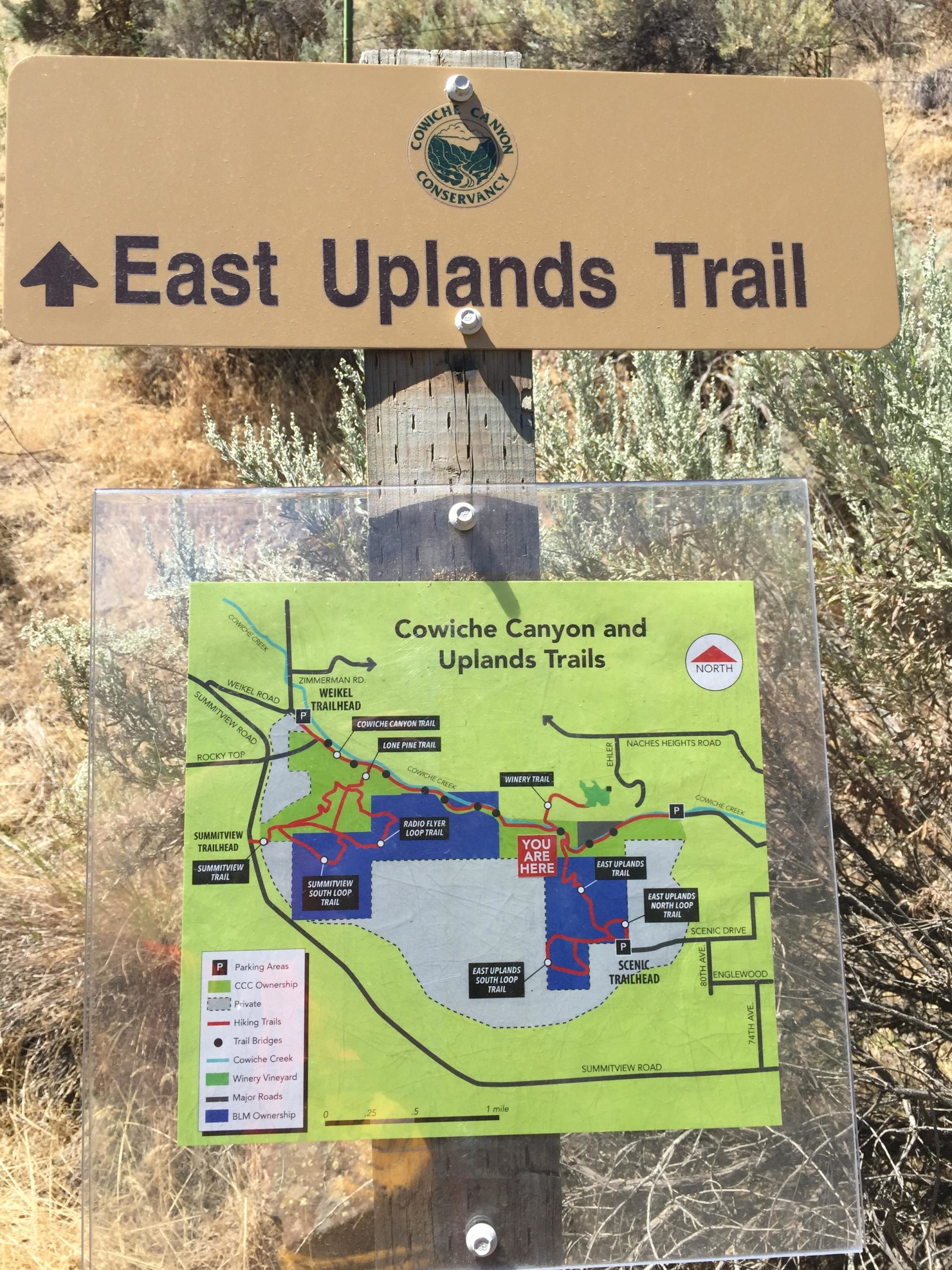 Signpost indicating the East Uplands Trail with a detailed map of the Cowiche Canyon and Uplands Trails, highlighting various trails, parking areas, and location markers. The map includes notations for hiking trails and ownership, along with a specific "You Are Here" marker for orientation. Cowiche Canyon mountain bike trail.