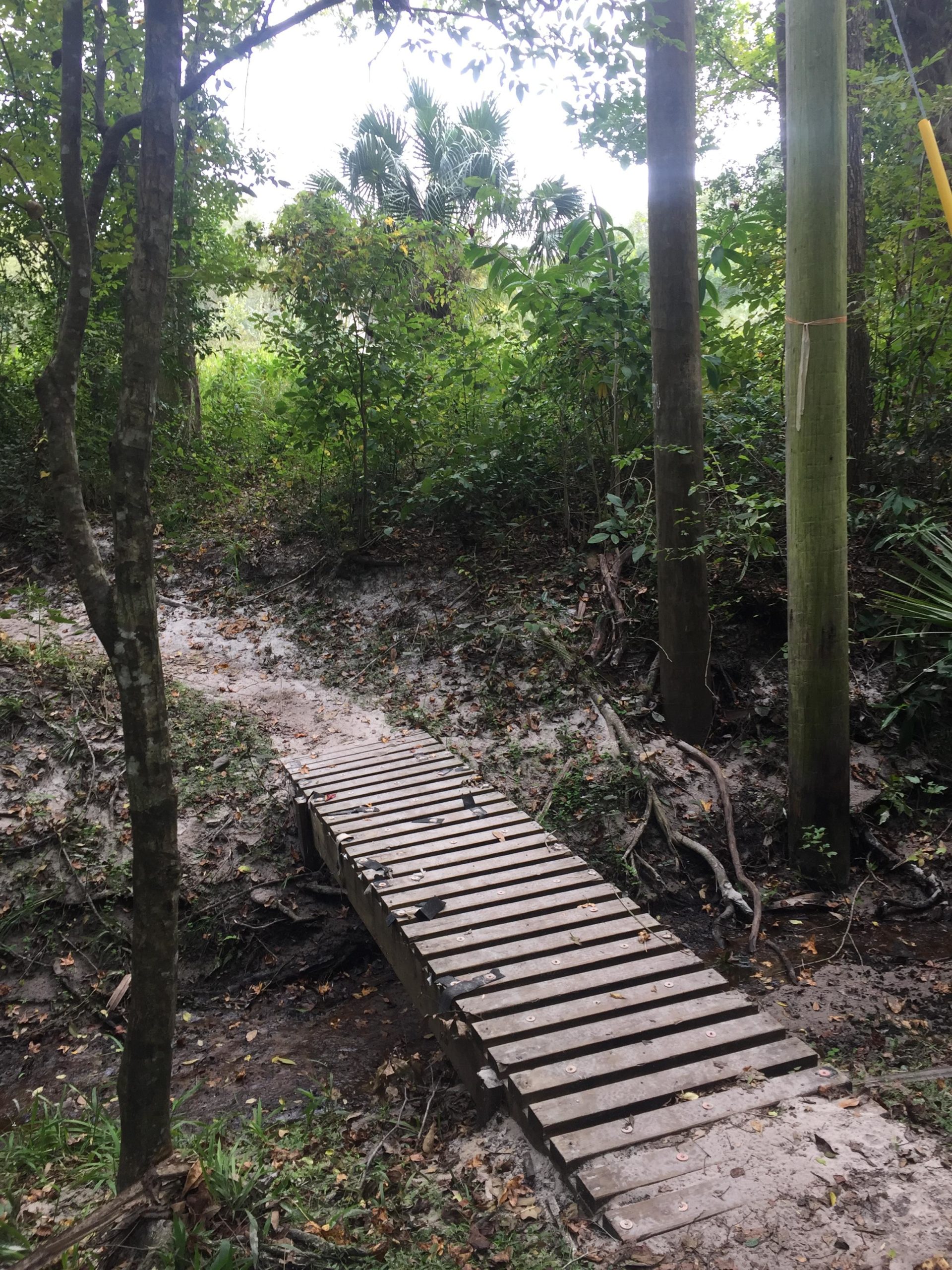 A wooden bridge spans a small, sandy ravine surrounded by lush greenery and trees. The scene is tranquil, with dense foliage in the background and a few palm trees visible. The path leading to the bridge is slightly worn, suggesting it's a natural trail in a forested area. Soldier Creek Park mountain bike trail.