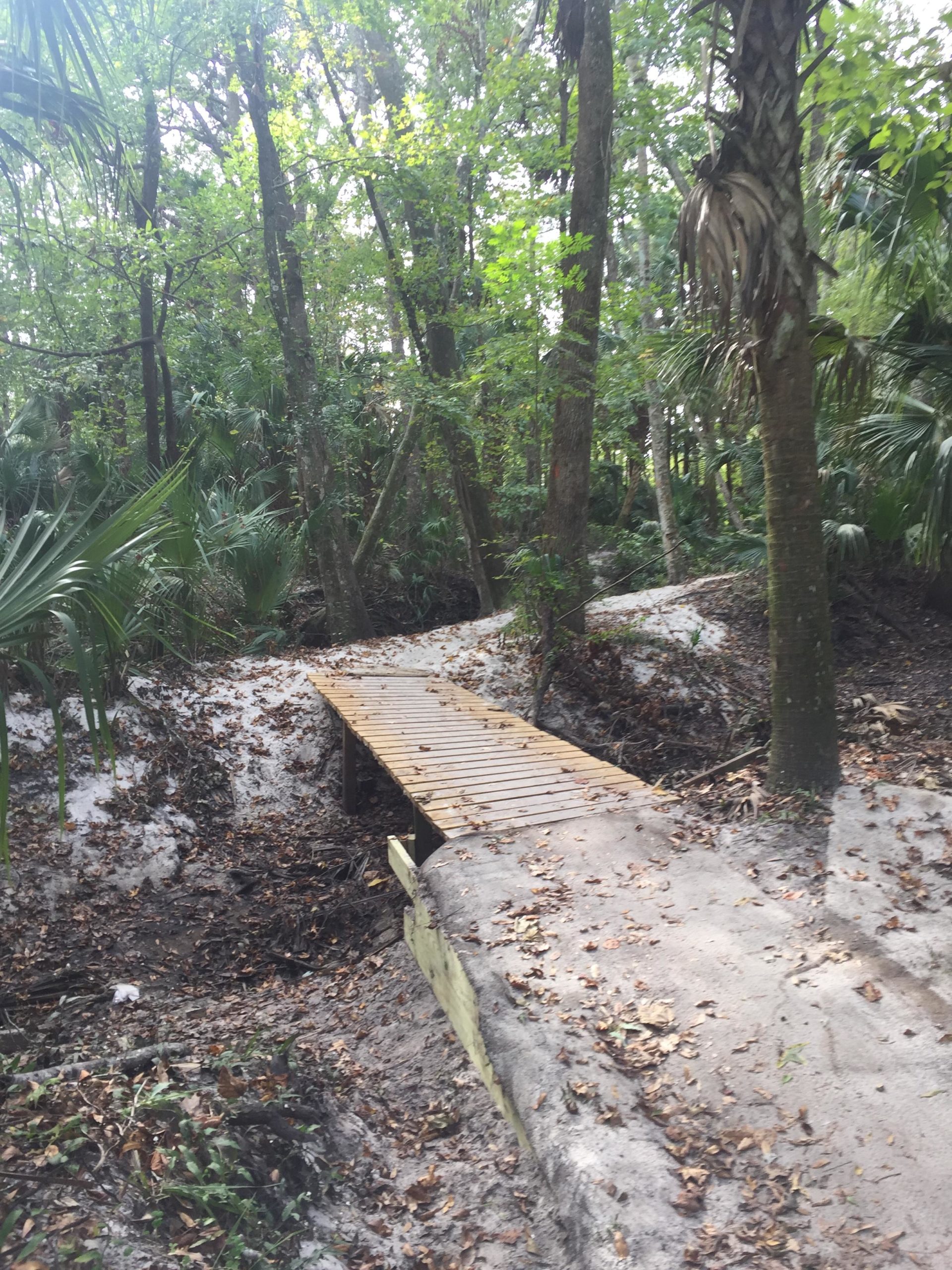 A wooden bridge spans a small ditch in a lush forest, surrounded by green foliage and trees. The ground is partially covered with fallen leaves, and the scene conveys a serene, natural environment. Soldier Creek Park mountain bike trail.