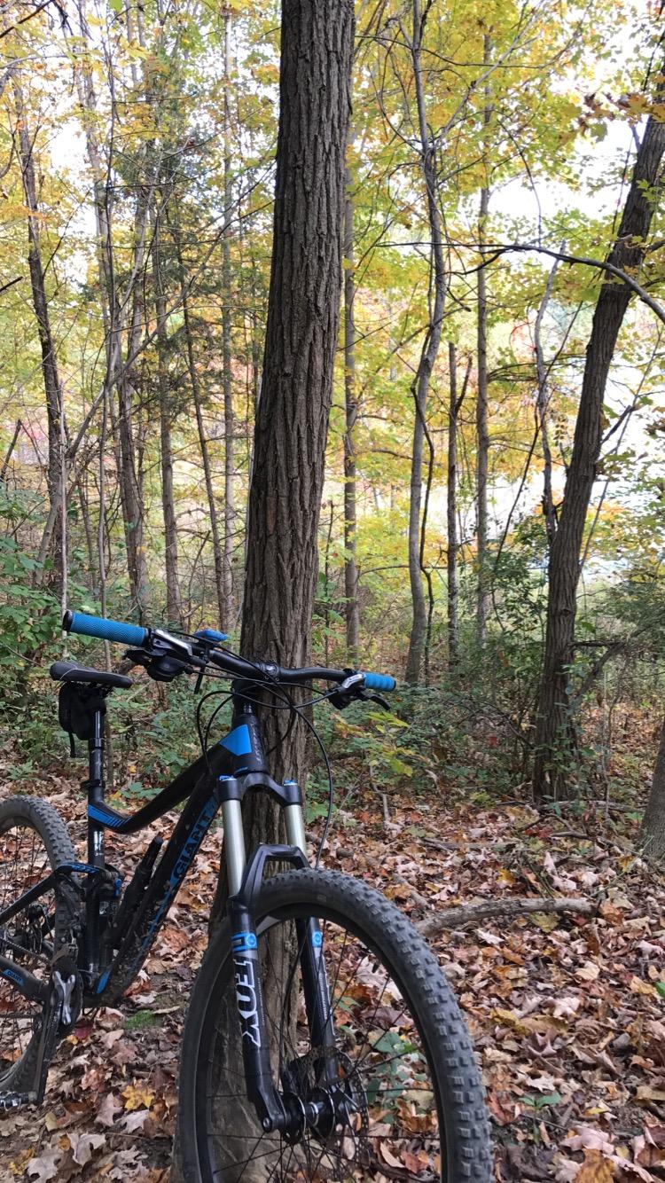 A mountain bike resting against a tree in a forest during autumn, surrounded by colorful fall foliage and fallen leaves on the ground. Alum Creek Phase II mountain bike trail.