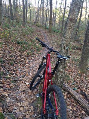 Transition Bandit 27.5: A red mountain bike leaning against a tree on a dirt trail surrounded by a forest with autumn leaves scattered on the ground. The path winds through tall trees, suggesting a peaceful outdoor setting.