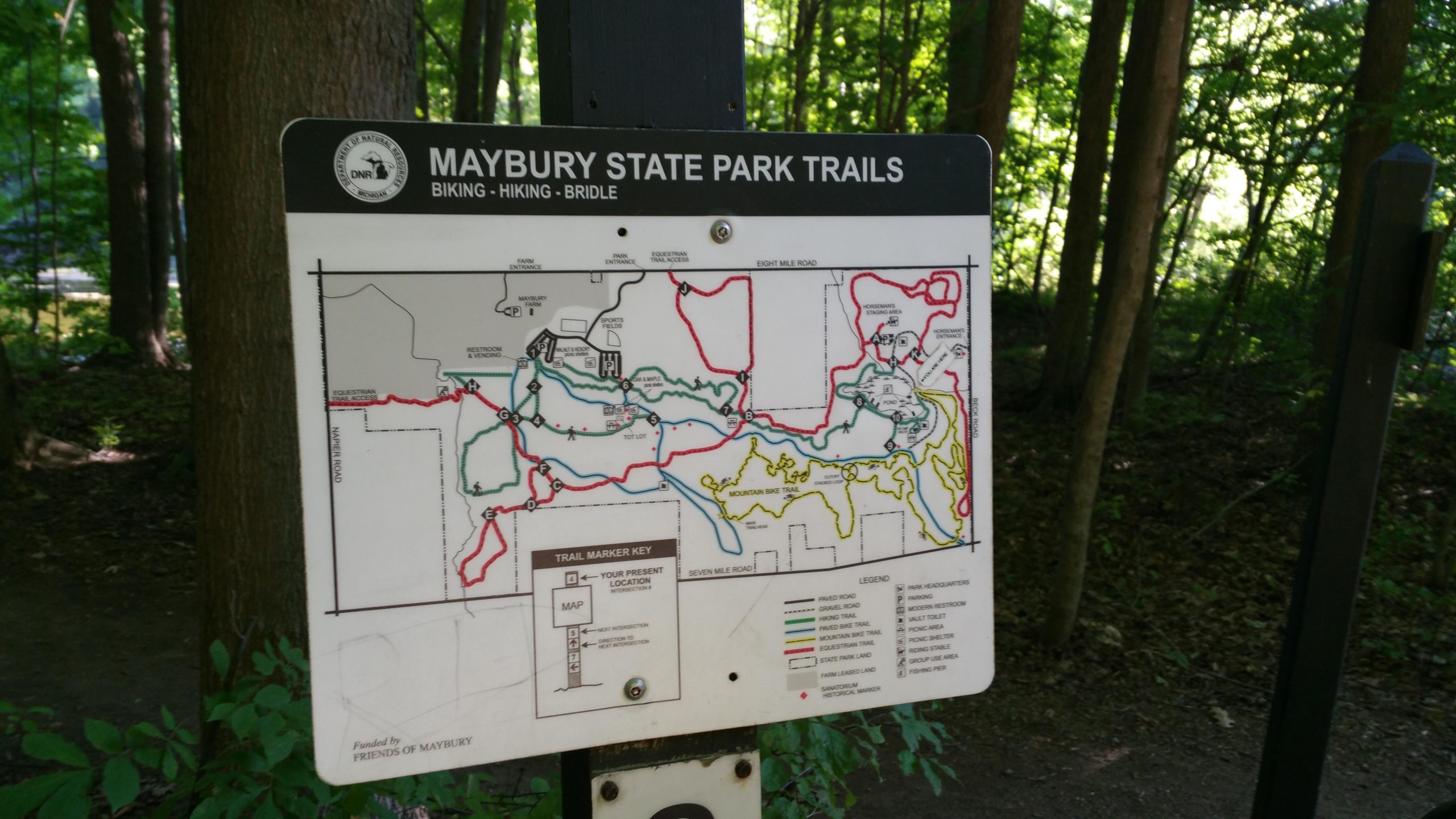 Map of Maybury State Park trails, showing designated routes for biking, hiking, and bridle paths. The map includes trail markers in different colors and a key for trail types, with annotations for restrooms and picnic areas. Surrounding vegetation provides a snapshot of the wooded environment. Maybury mountain bike trail.