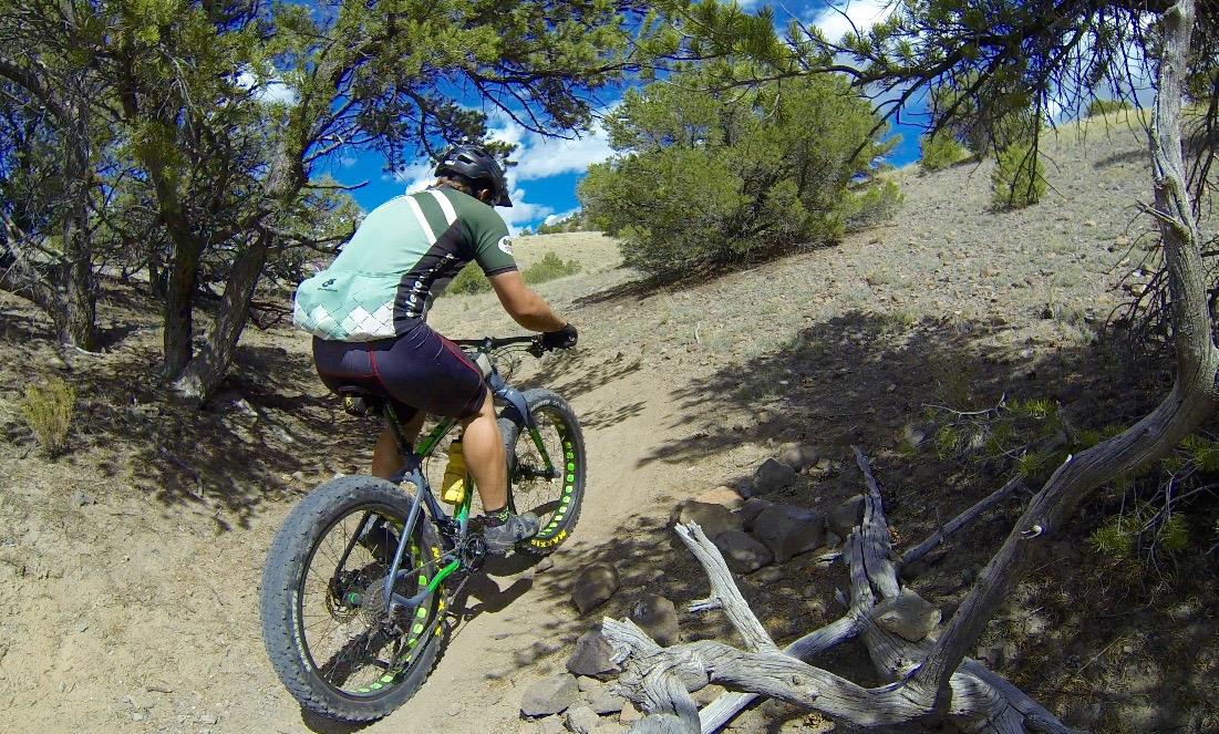 A mountain biker riding a fat bike along a dirt trail through a wooded area on a sunny day. The trail is surrounded by green shrubs and trees, with a clear blue sky overhead. Arkansas Hills mountain bike trail.
