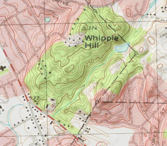 Topographic map featuring Whipple Hill, displaying elevation contour lines in green and brown, with surrounding roadways and structures. The map indicates various elevation points alongside marked labels. Whipple Hill mountain bike trail.