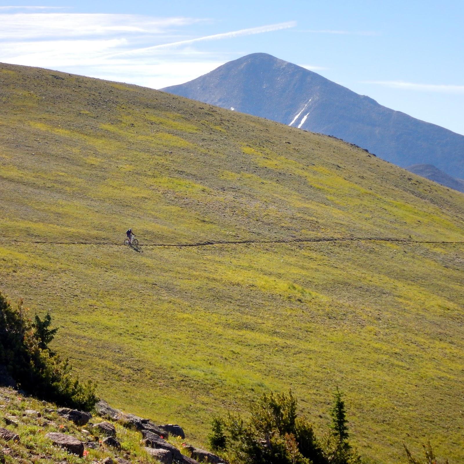 A person riding a bicycle on a grassy hillside with a distant mountain peak under a clear blue sky. Monarch Crest Trail mountain bike trail.