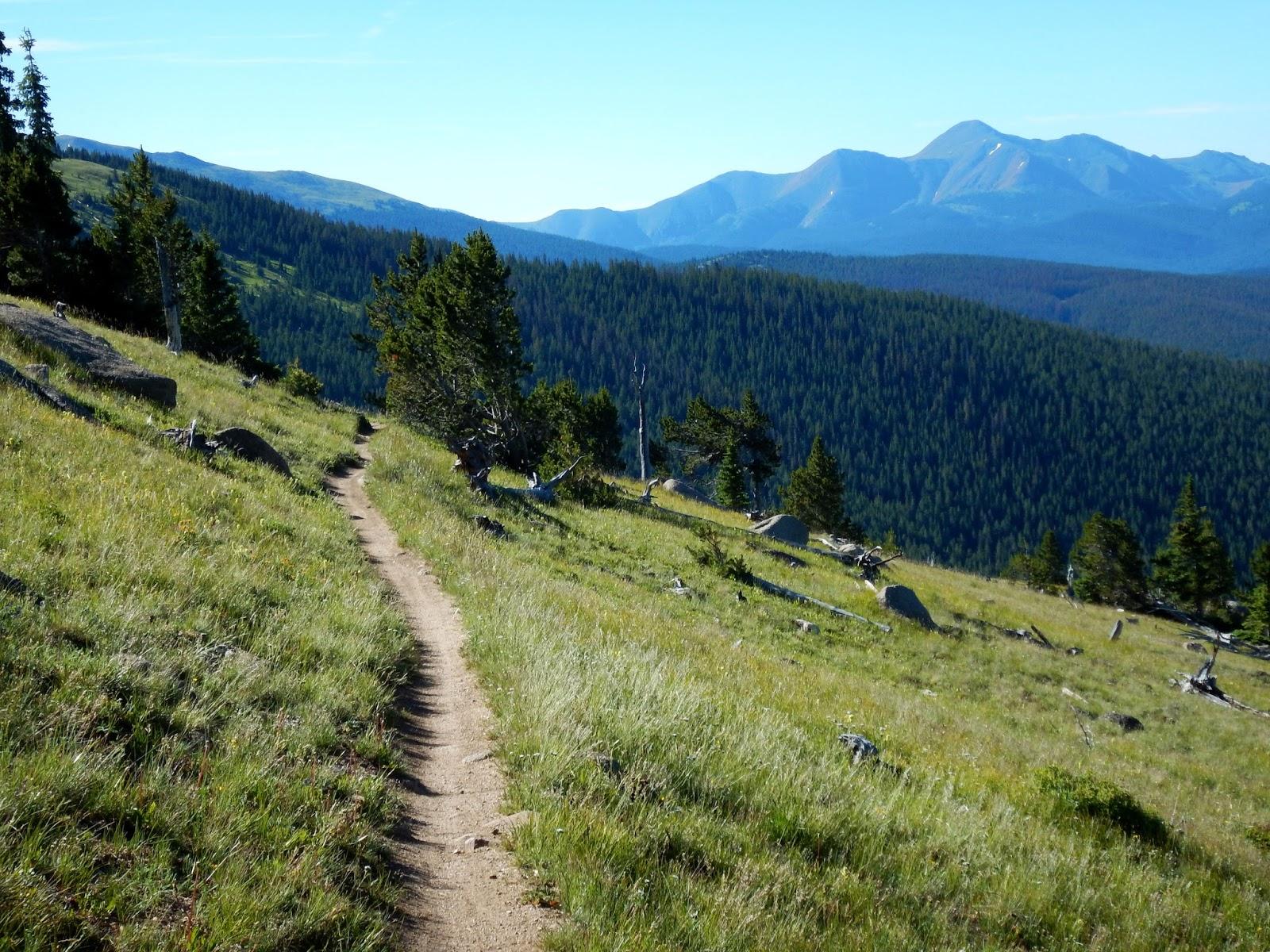 A winding dirt path through a lush, green hillside, leading into a forested area, with distant mountains rising under a clear blue sky. Monarch Crest Trail mountain bike trail.