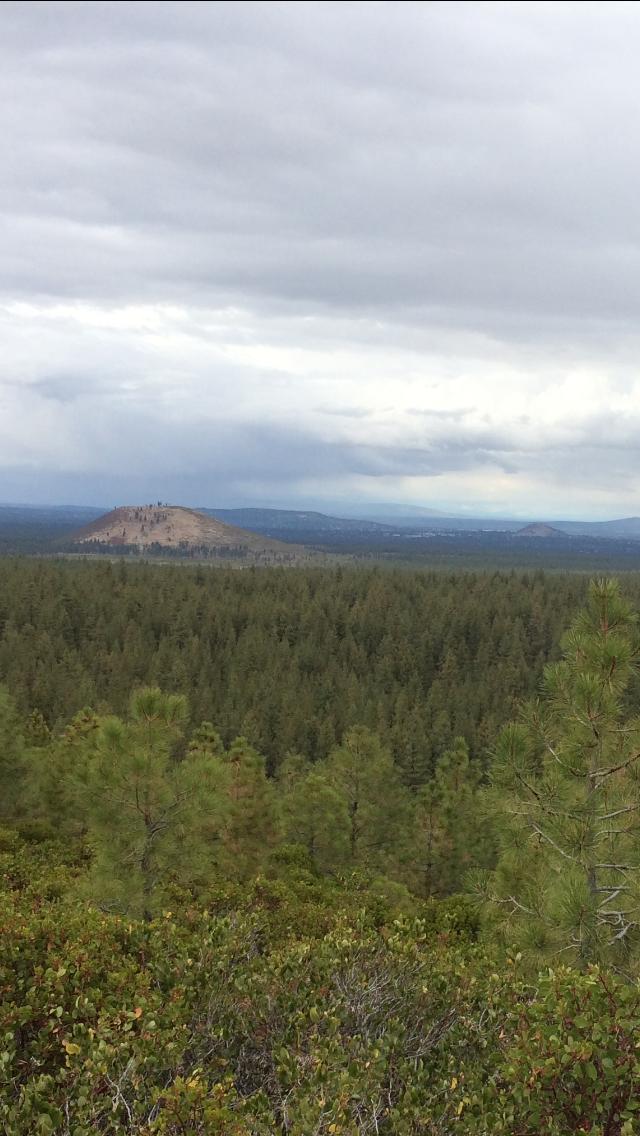 A scenic view of a forest landscape under a cloudy sky, featuring a distant hill or mountain surrounded by dense evergreen trees. Swamp Wells Trail mountain bike trail.