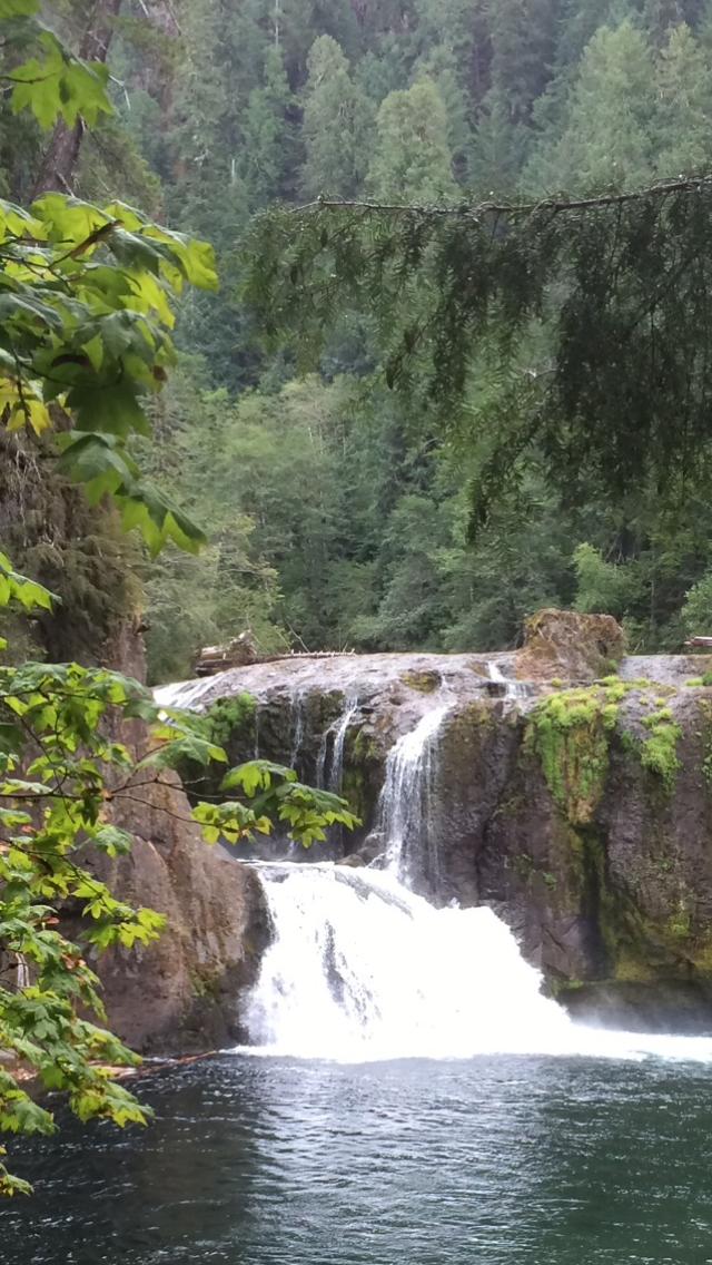 A serene waterfall cascading over rocky ledges into a tranquil pool, surrounded by lush green foliage and dense trees in a peaceful forest setting. Lewis River mountain bike trail.