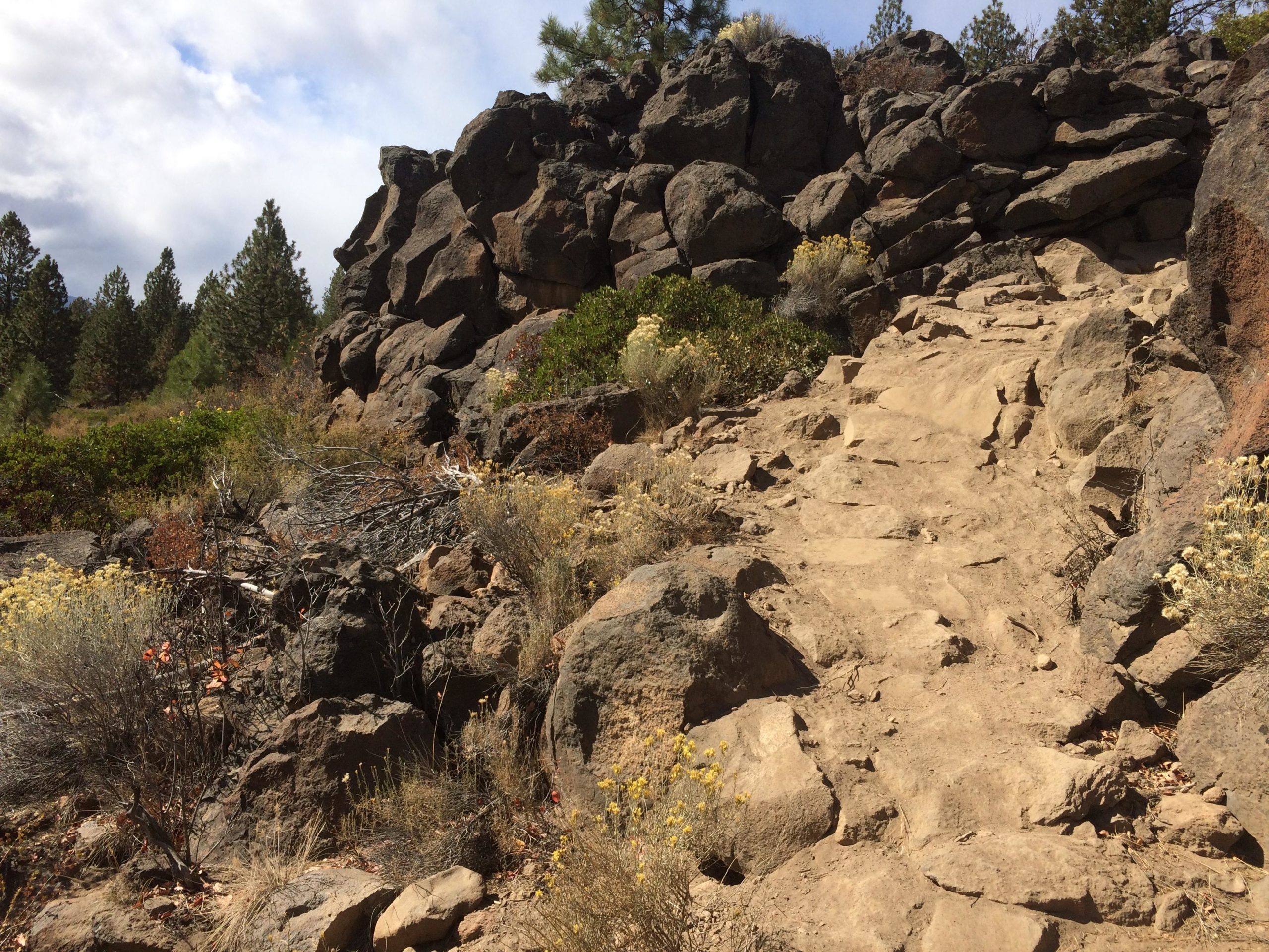 A rocky trail leading upwards through sparse vegetation, flanked by boulders and shrubs. The path is rugged and sandy, with patches of wildflowers scattered along the sides. In the background, coniferous trees rise against a partly cloudy sky. C.O.D. mountain bike trail.