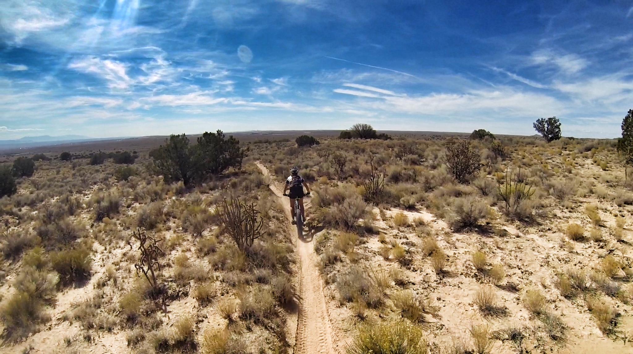 A mountain biker riding on a sandy trail through a desert landscape, surrounded by sparse vegetation and distant hills under a bright blue sky with wispy clouds. Super Fat Bike Loop mountain bike trail.