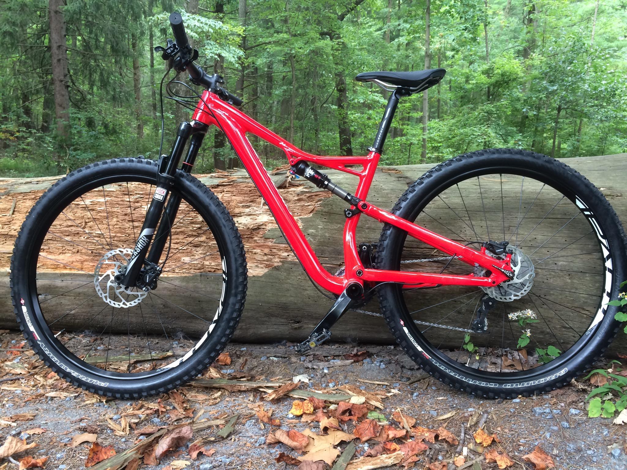 Specialized Camber: A red mountain bike resting against a fallen log in a lush forest setting, surrounded by green trees and scattered autumn leaves on the ground.