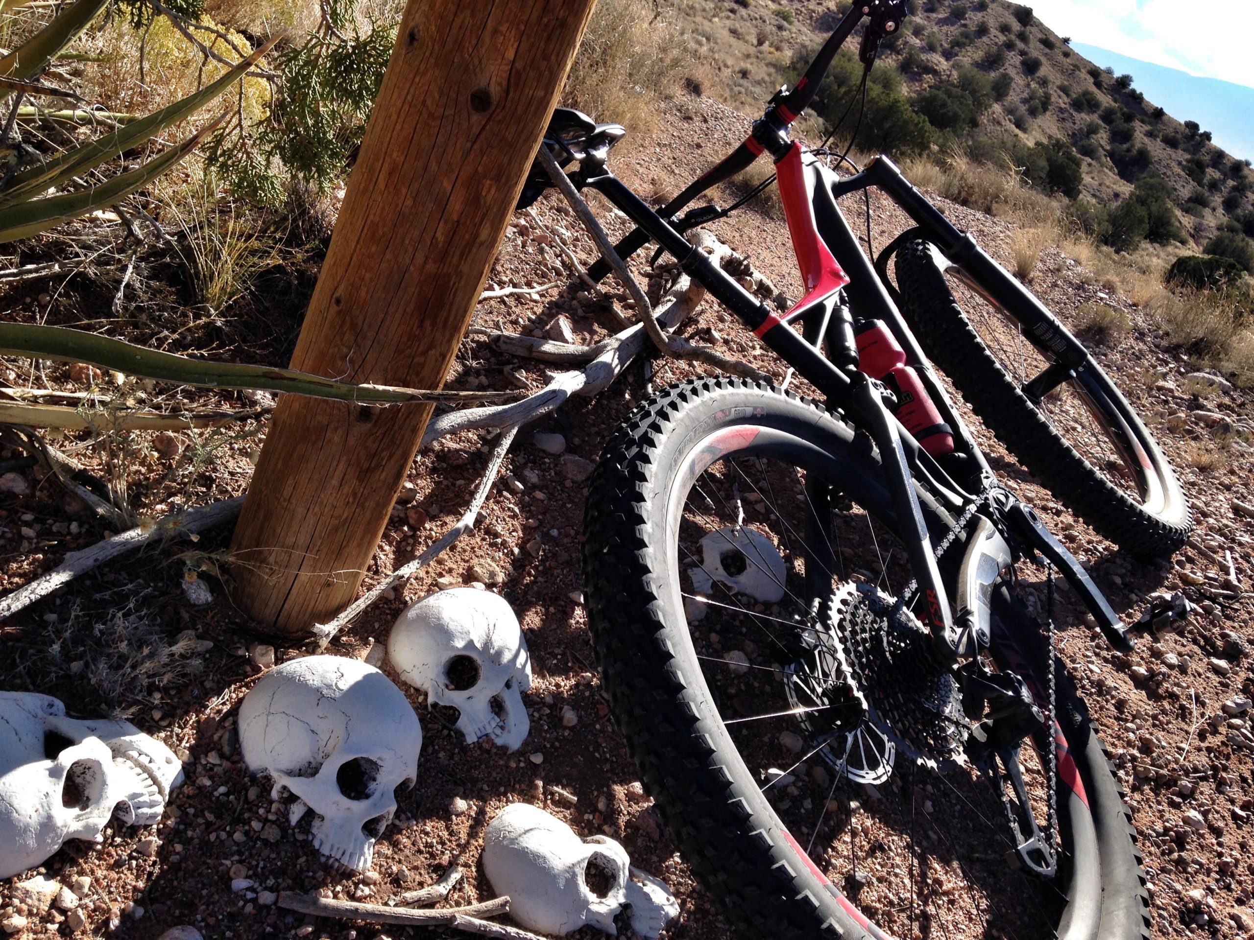 A mountain bike leaning against a wooden post on a rocky trail, with several white skull decorations scattered on the ground nearby, and desert vegetation in the background. Mariposa Fat Bike Trails mountain bike trail.