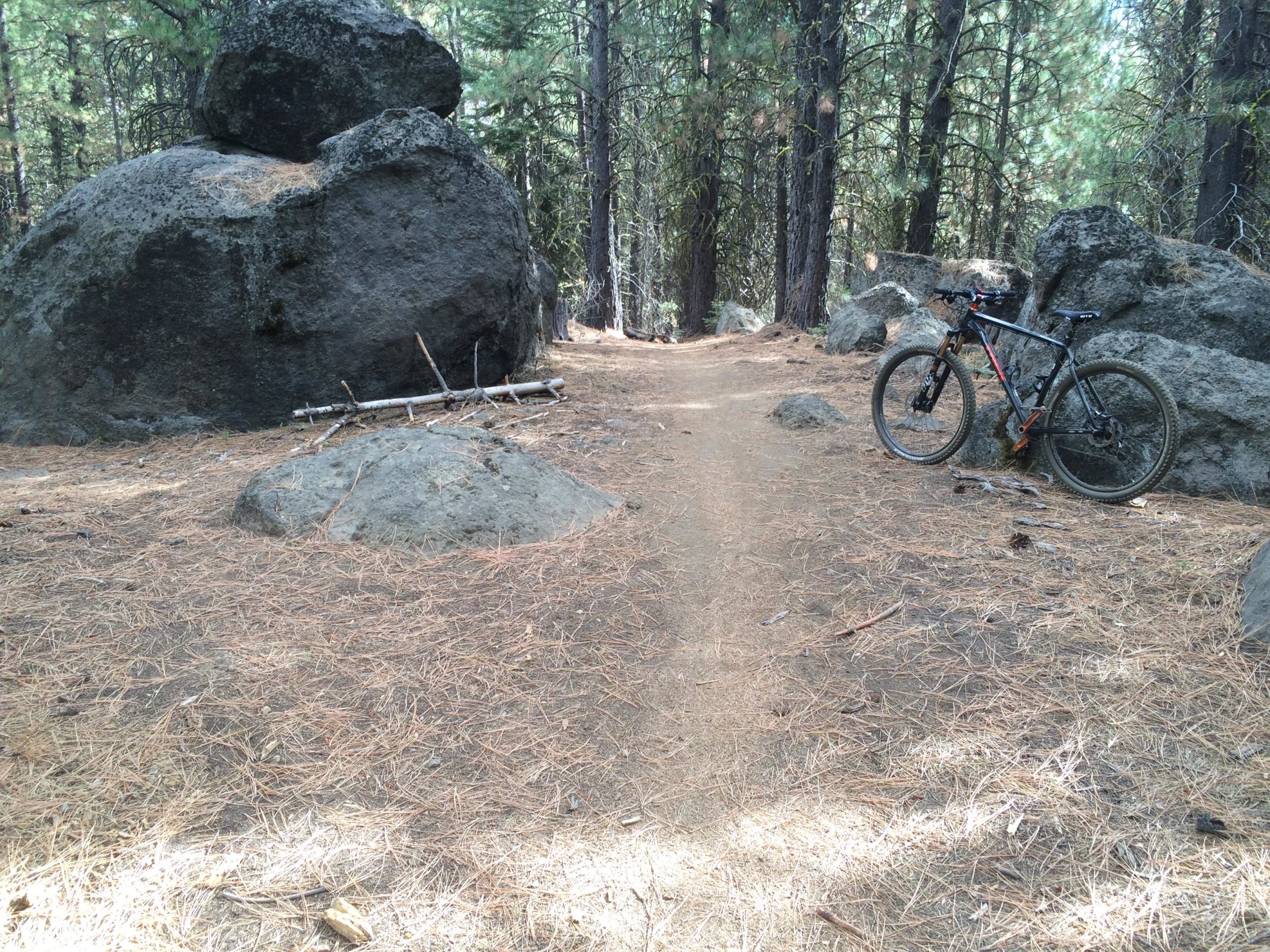 A mountain bike is parked beside a dirt trail in a forested area, surrounded by large rocks and pine trees. The ground is covered with pine needles, and the path leads into the woods. Larsen Trail mountain bike trail.