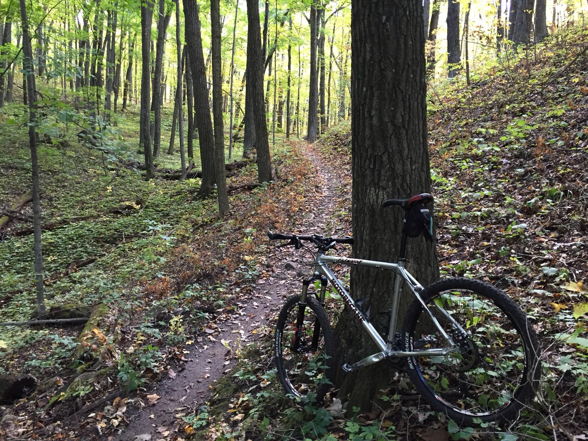 A mountain bike resting against a tree on a dirt trail surrounded by lush green and orange foliage in a forest setting. Greenbush mountain bike trail.