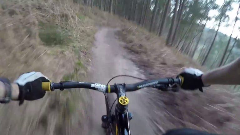 A person's hands gripping the handlebars of a mountain bike, as they ride along a narrow dirt trail through a forested area. The scenery is blurred to convey movement, and you can see the ground and vegetation alongside the path.