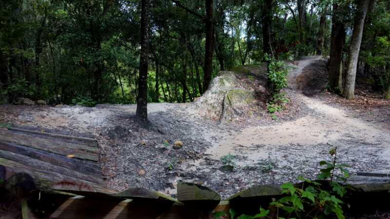 Image of a wooded trail dividing into two paths, surrounded by trees and greenery. The trail shows a sandy and slightly rocky surface, with a flat, elevated area to the left. Sunlight filters through the leaves, creating dappled shadows on the ground. Alafia River State Park mountain bike trail.