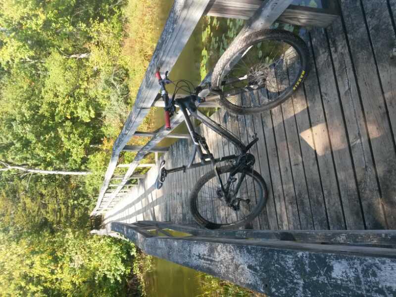 A mountain bike is parked on a wooden bridge surrounded by lush greenery and a body of water with lily pads. The scene captures a peaceful outdoor setting, ideal for biking and nature exploration. Potawatomi trail mountain bike trail.