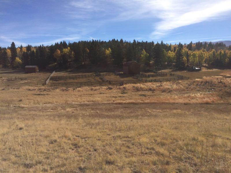 A scenic landscape featuring rolling hills with golden grass under a clear blue sky. In the background, a dense forest of green and autumn-colored trees borders the horizon. An rustic wooden fencing encloses a central area with a couple of small buildings, including a barn, visible amid the trees. The overall scene conveys a tranquil rural setting. Mueller State Park mountain bike trail.