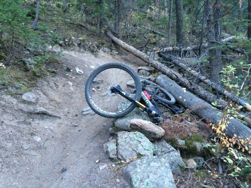 A mountain bike lying on its side near a rocky trail, surrounded by trees and foliage, with one wheel upright against a rock. 3 Sisters / Alderfer mountain bike trail.