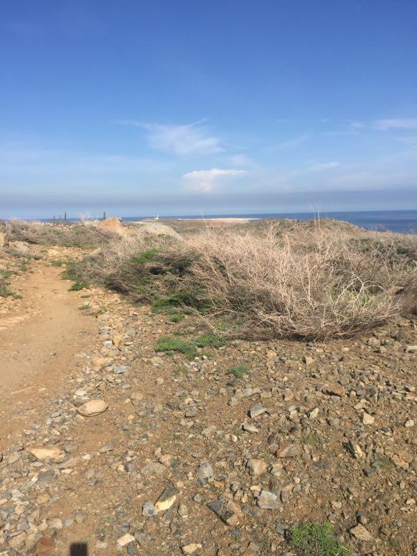 A rocky path leads towards a serene coastal view with a clear blue sky. The landscape features sparse vegetation and some dry bushes on either side of the trail, with the ocean visible in the background. Tribu mountain bike trail.
