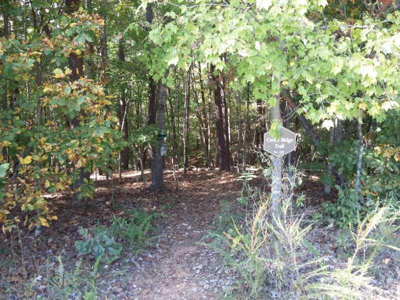 A pathway leading into a dense forest, marked by a sign that reads "Cedar Ridge Trail". Surrounding the entrance are trees with green leaves and some with hints of autumn colors, creating a natural and inviting atmosphere. Sunlight filters through the foliage, illuminating the trail's rustic, earthy surface. Cedar Ridge Chatmoss mountain bike trail.