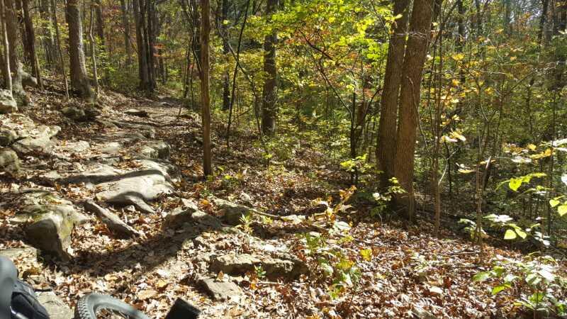 A winding dirt trail in a wooded area, surrounded by trees with colorful autumn leaves and scattered rocks. The forest floor is covered in dried leaves, creating a natural and scenic hiking path. Lost Valley mountain bike trail.
