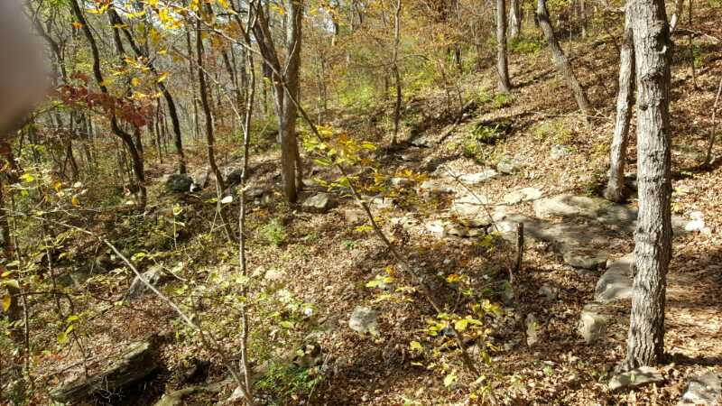 A tranquil forest scene featuring a sloping terrain covered in autumn foliage, with scattered rocks and trees displaying colorful leaves. Sunlight filters through the branches, highlighting the natural beauty of the wooded area. Lost Valley mountain bike trail.