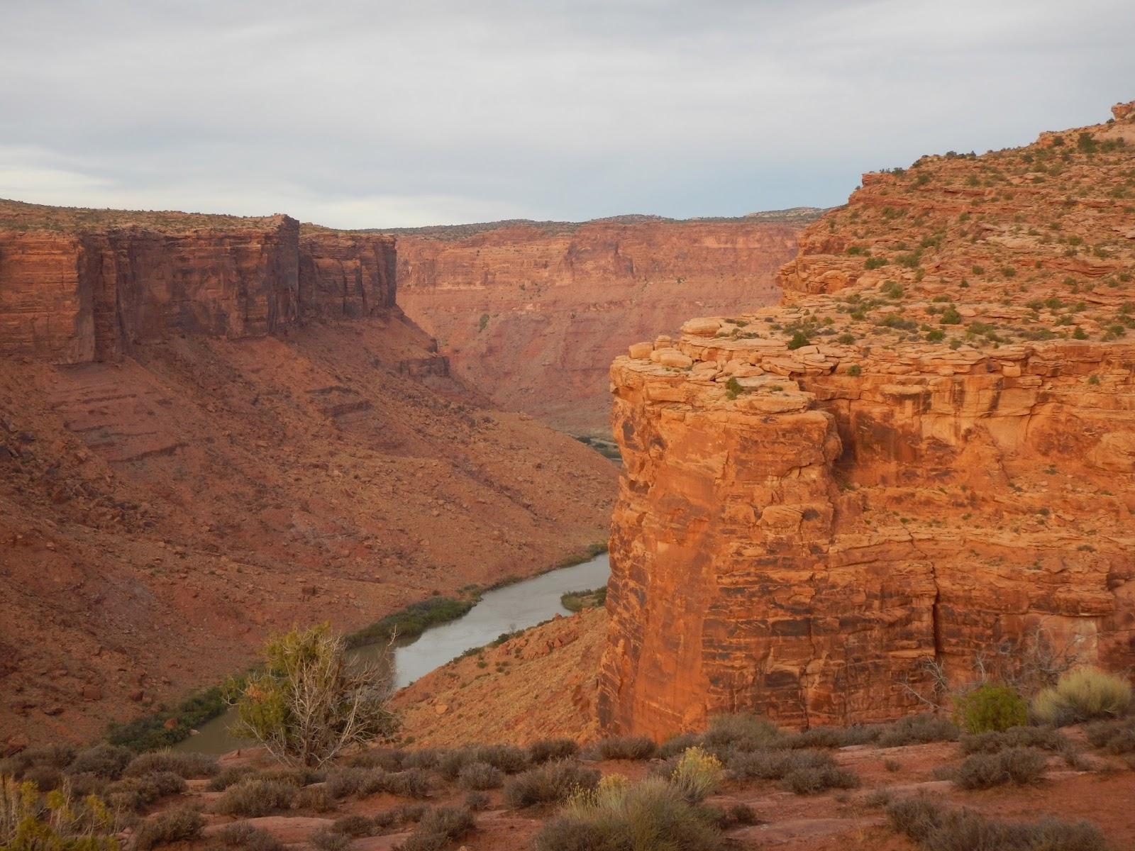 A panoramic view of a canyon with steep reddish cliffs and a winding river at the bottom. The landscape features rocky terrain with sparse vegetation, showcasing the natural beauty of the arid environment under a cloudy sky. The Whole Enchilada mountain bike trail.