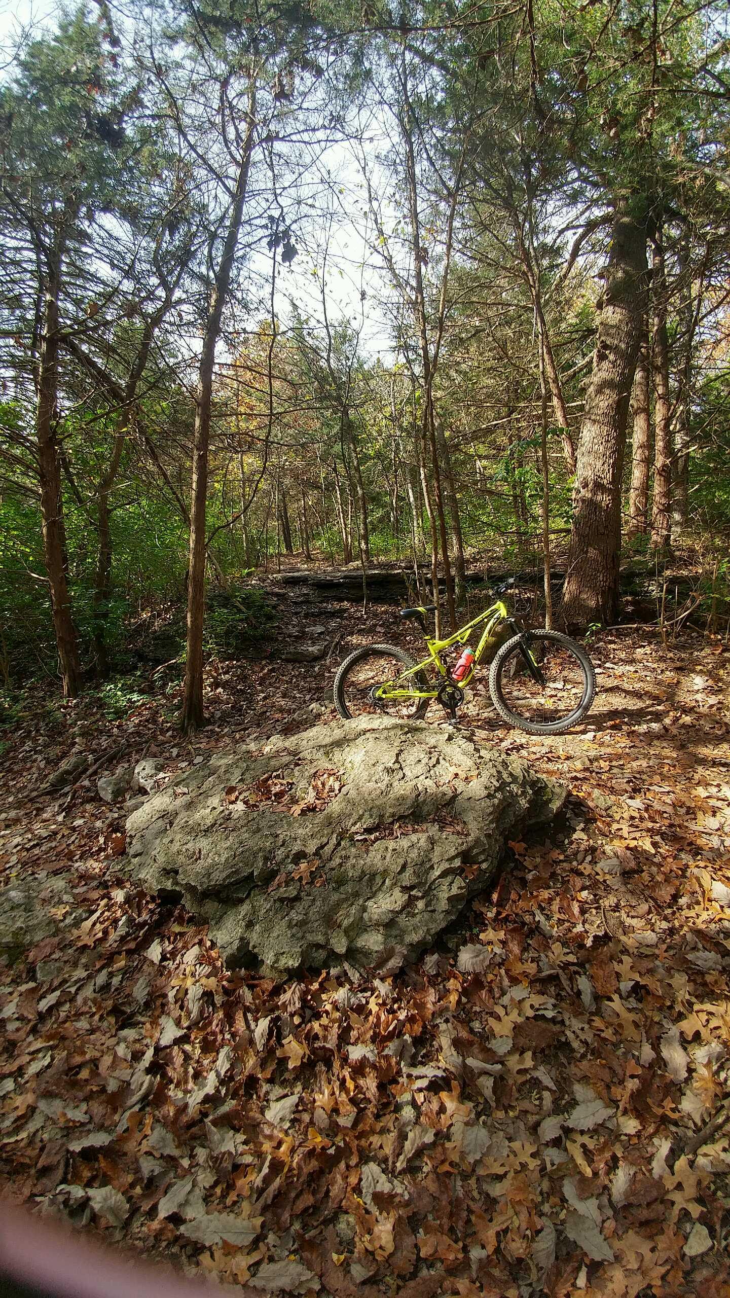 A vibrant yellow mountain bike is resting on a large rock amidst a forested trail covered with fallen leaves. The background features tall trees with green foliage, indicating a peaceful natural setting on a sunny day. Landahl Park Reserve mountain bike trail.