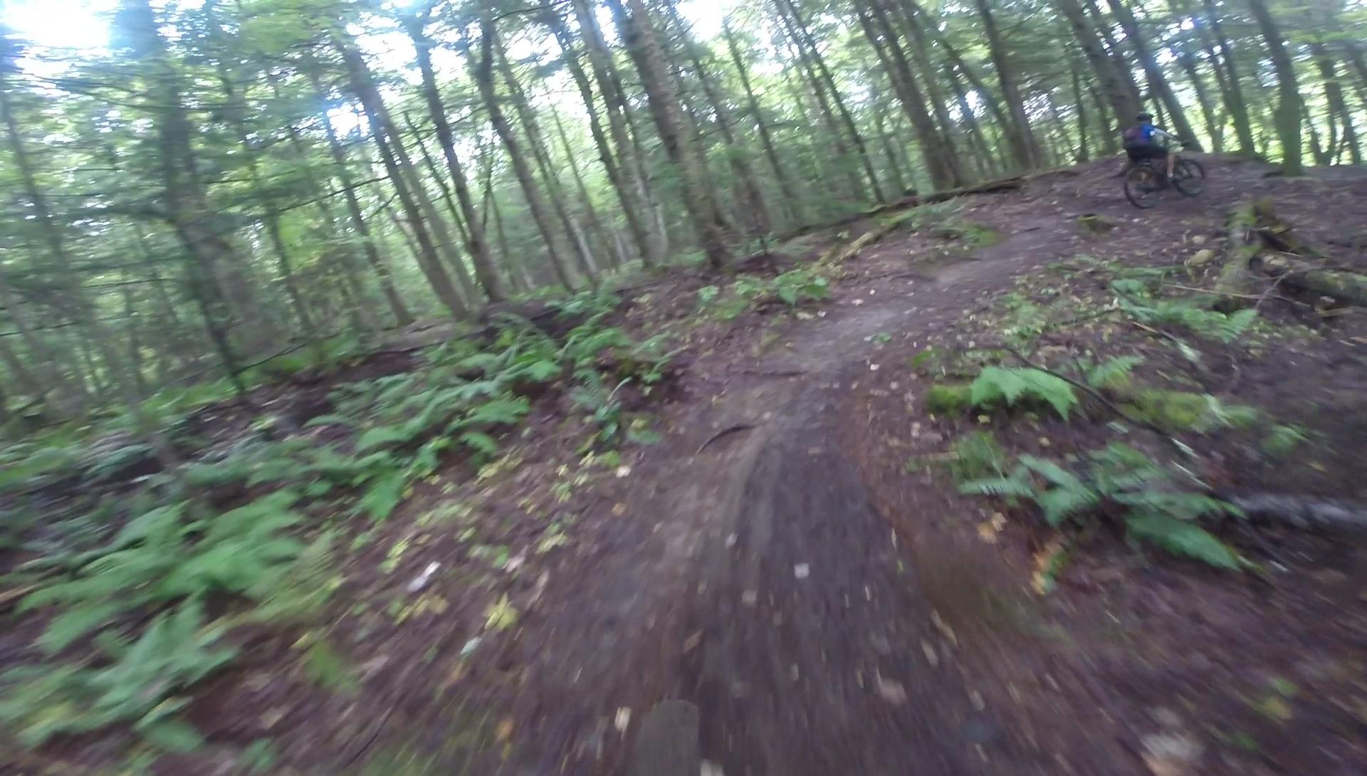A blurred view of a dirt trail winding through a forested area, surrounded by tall trees and lush green ferns. The image captures a sense of motion, suggesting that a cyclist is riding along the path. Sunlight filters through the leaves, creating a dappled light effect on the ground. Kingdom Trails mountain bike trail.
