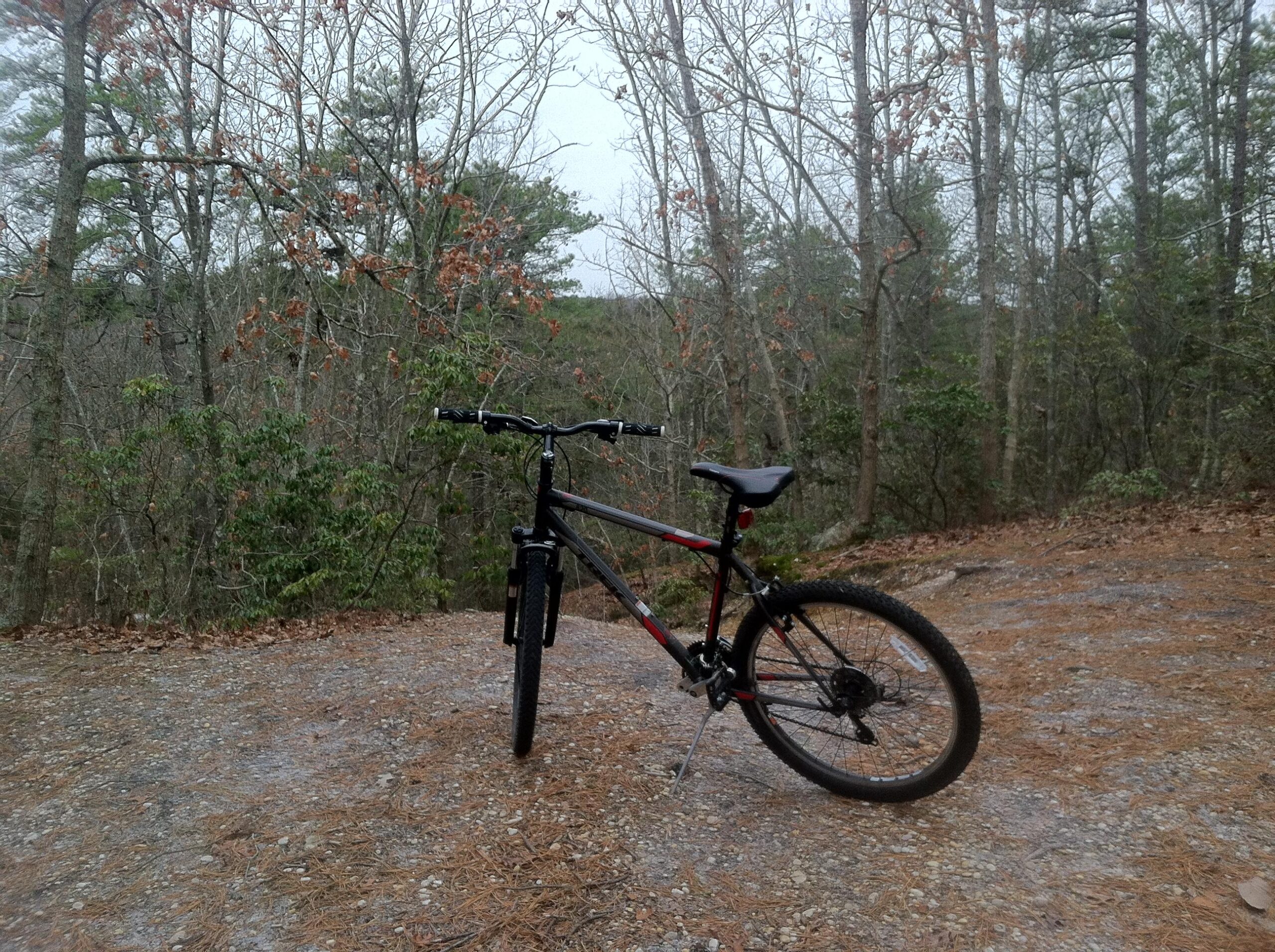 Trek 820: A black and red mountain bike is positioned on a gravel path surrounded by trees, with a background of green foliage and leafless branches, suggesting a forested area. The scene appears overcast and tranquil, indicating a quiet outdoor setting for biking.