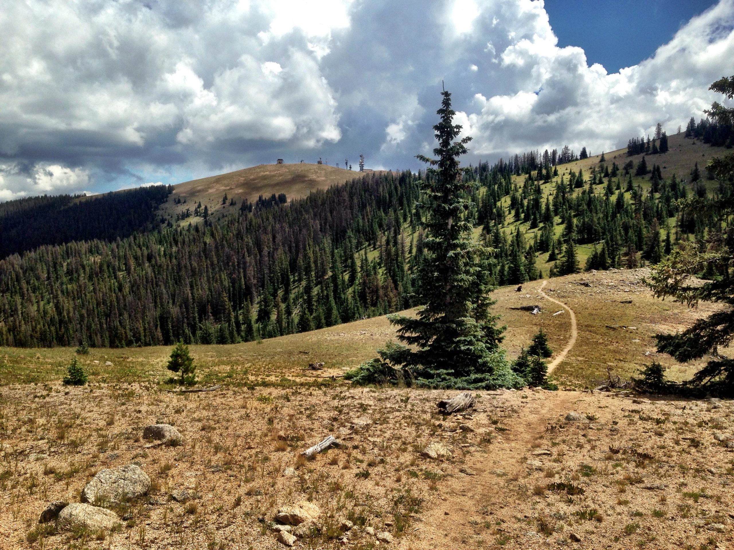 A scenic view of a mountainous landscape featuring rolling hills, patches of evergreen trees, and a winding dirt path leading through the grassy terrain. The sky is partly cloudy with dramatic clouds overhead, creating a tranquil and expansive natural setting. CDT: Monarch Pass to Boss Lake / Hunt Lake Trail mountain bike trail.