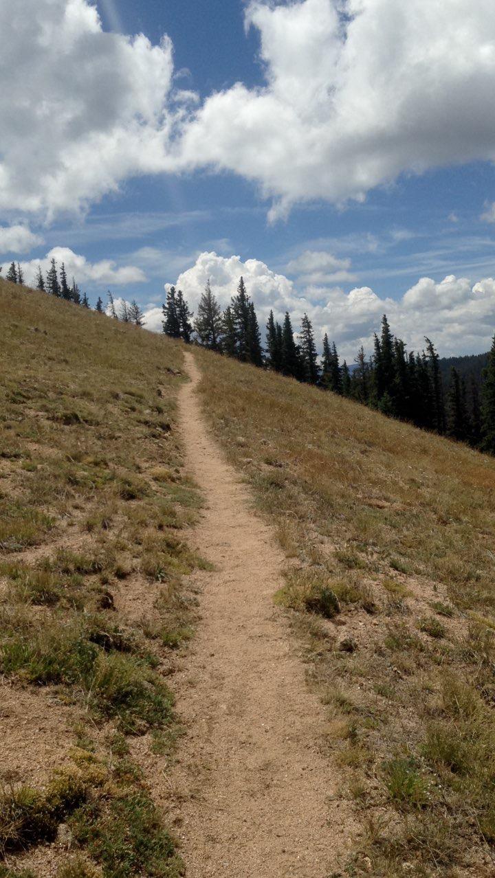A winding dirt trail leads up a grassy hillside, surrounded by trees and under a blue sky filled with fluffy white clouds. The path is framed by patches of green grass and sparse vegetation. CDT: Monarch Pass to Boss Lake / Hunt Lake Trail mountain bike trail.