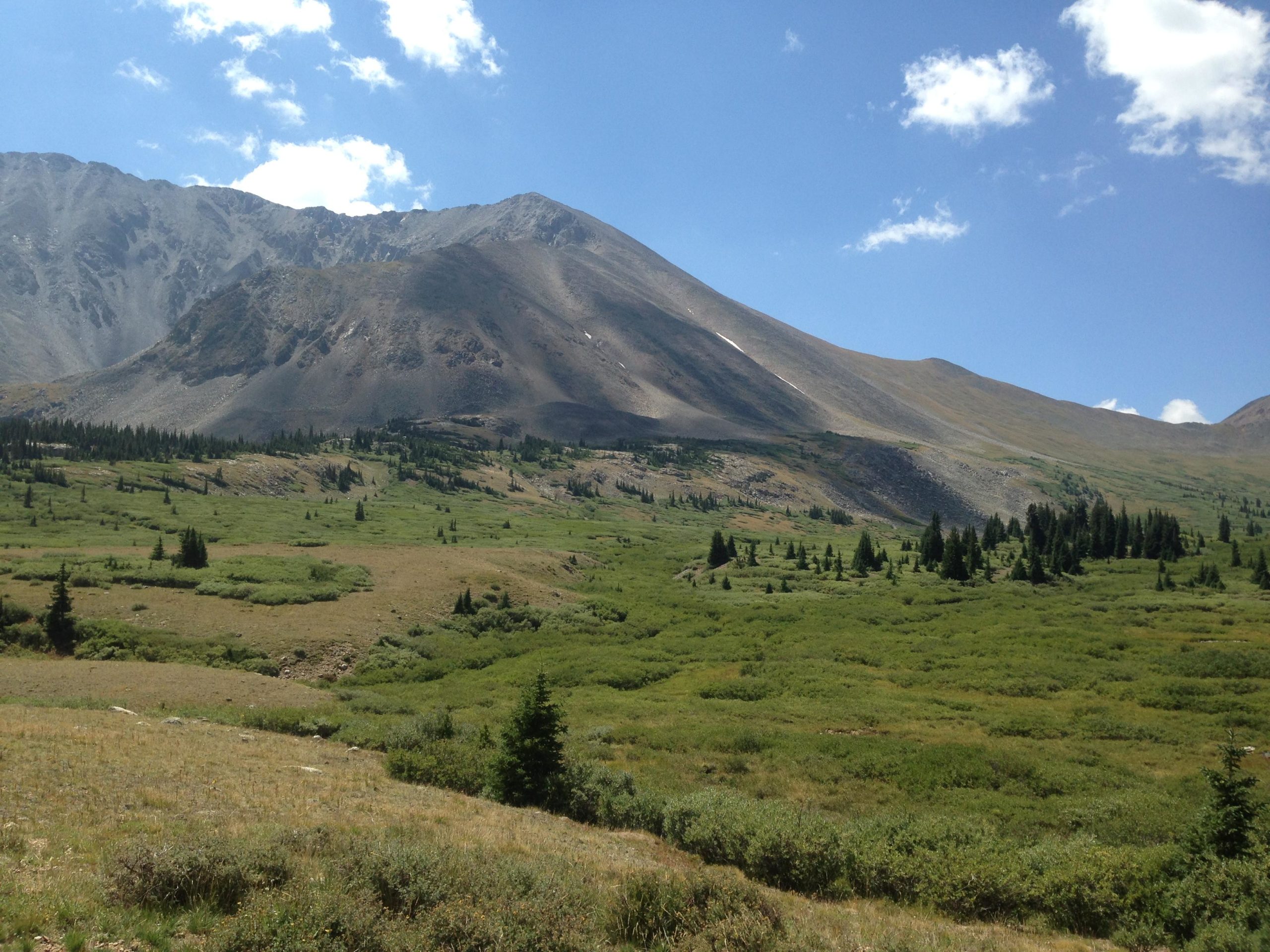 A scenic view of a mountainous landscape featuring rocky peaks and lush green valleys under a bright blue sky with scattered clouds. The foreground includes rolling hills and dense patches of vegetation. Browns Creek Trail mountain bike trail.