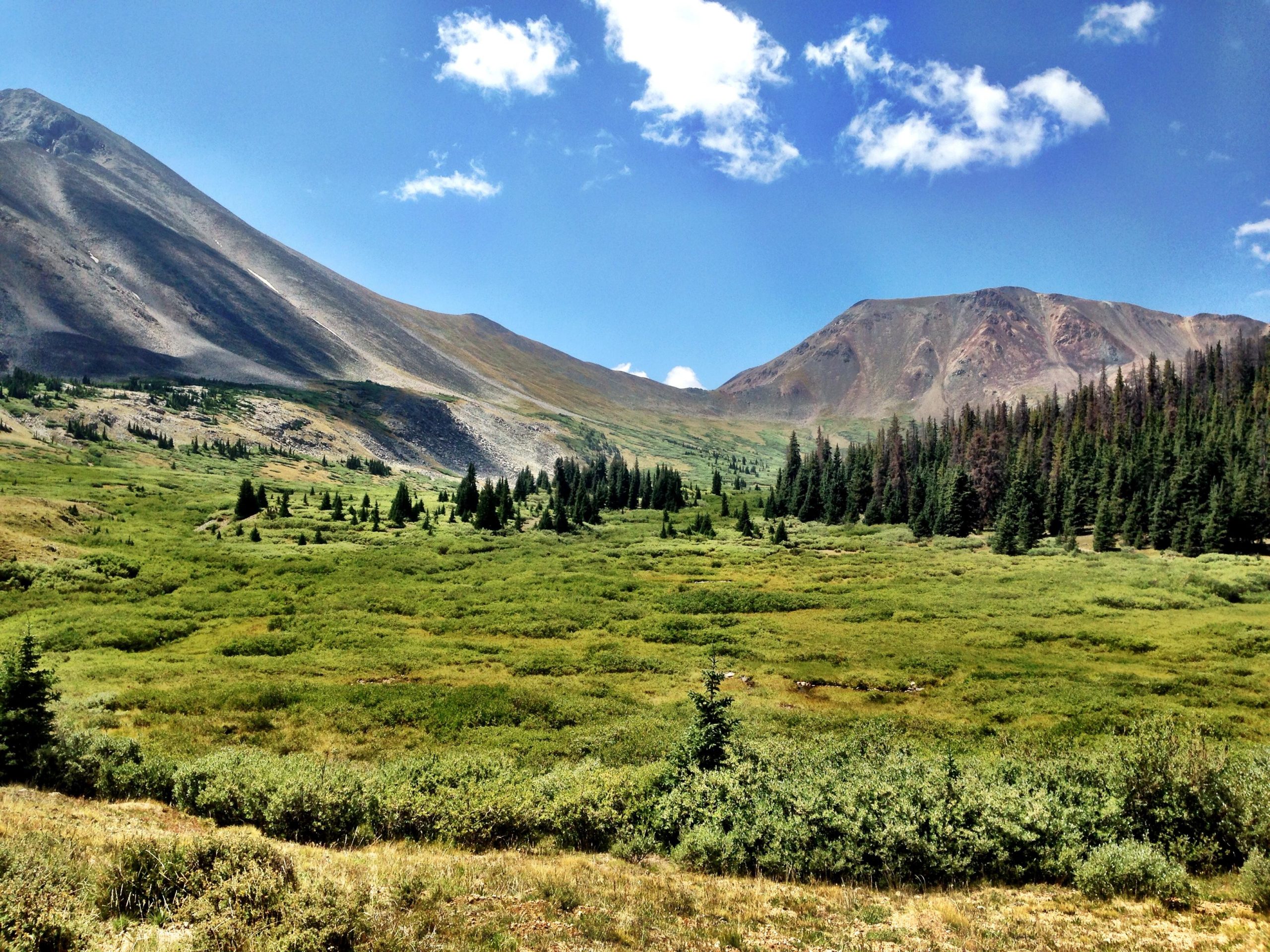 A scenic view of a mountainous landscape featuring lush greenery in the foreground, dotted with evergreen trees. In the background, two prominent mountains rise under a bright blue sky with scattered clouds, showcasing rocky slopes and a diverse terrain. Browns Creek Trail mountain bike trail.