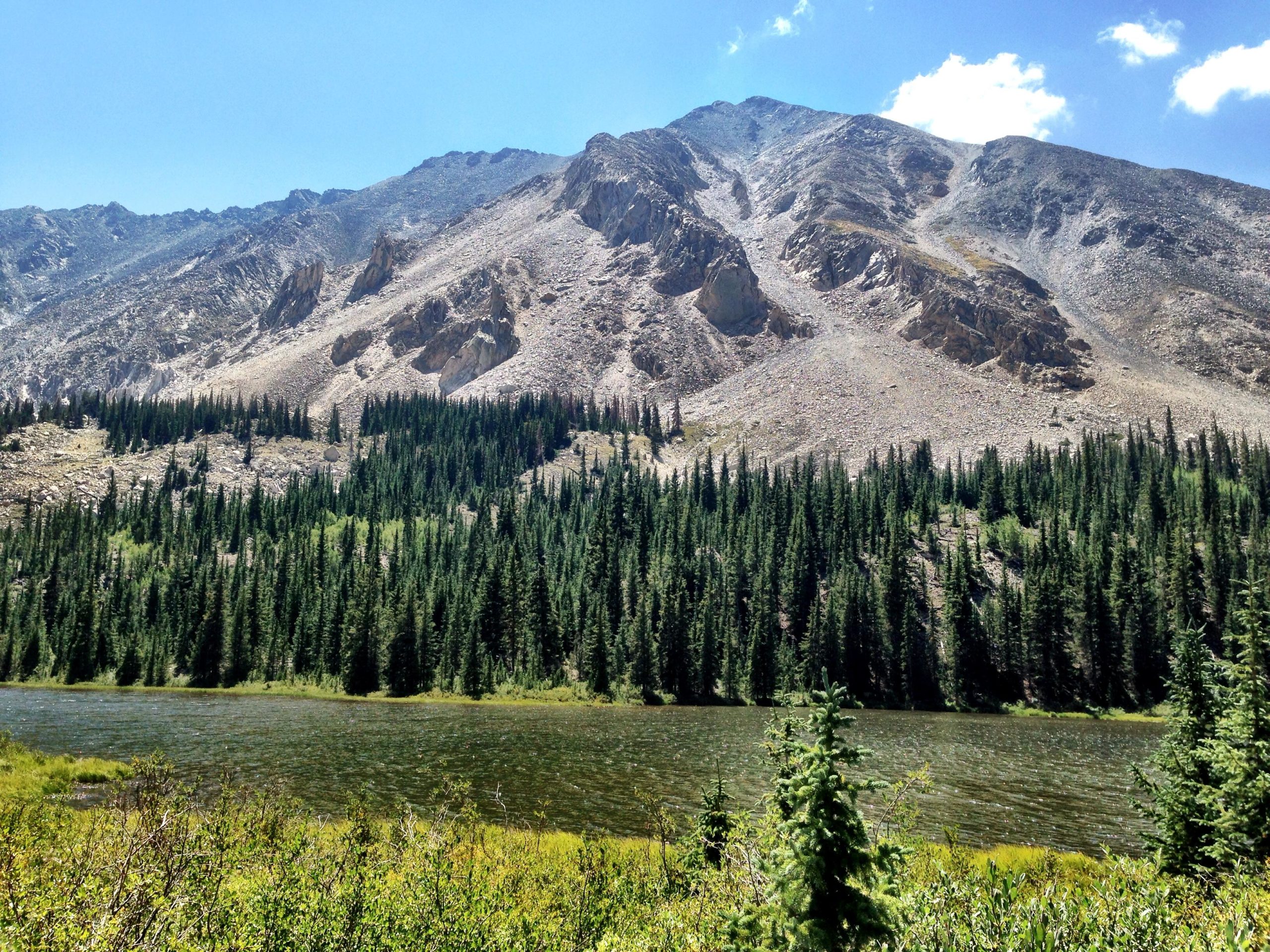 A scenic landscape featuring a serene lake surrounded by lush green pine trees, with steep, rocky mountain slopes rising in the background under a clear blue sky with scattered clouds. The foreground includes vibrant greenery and the gentle ripples of the lake's surface reflecting the natural beauty of the area. Browns Creek Trail mountain bike trail.