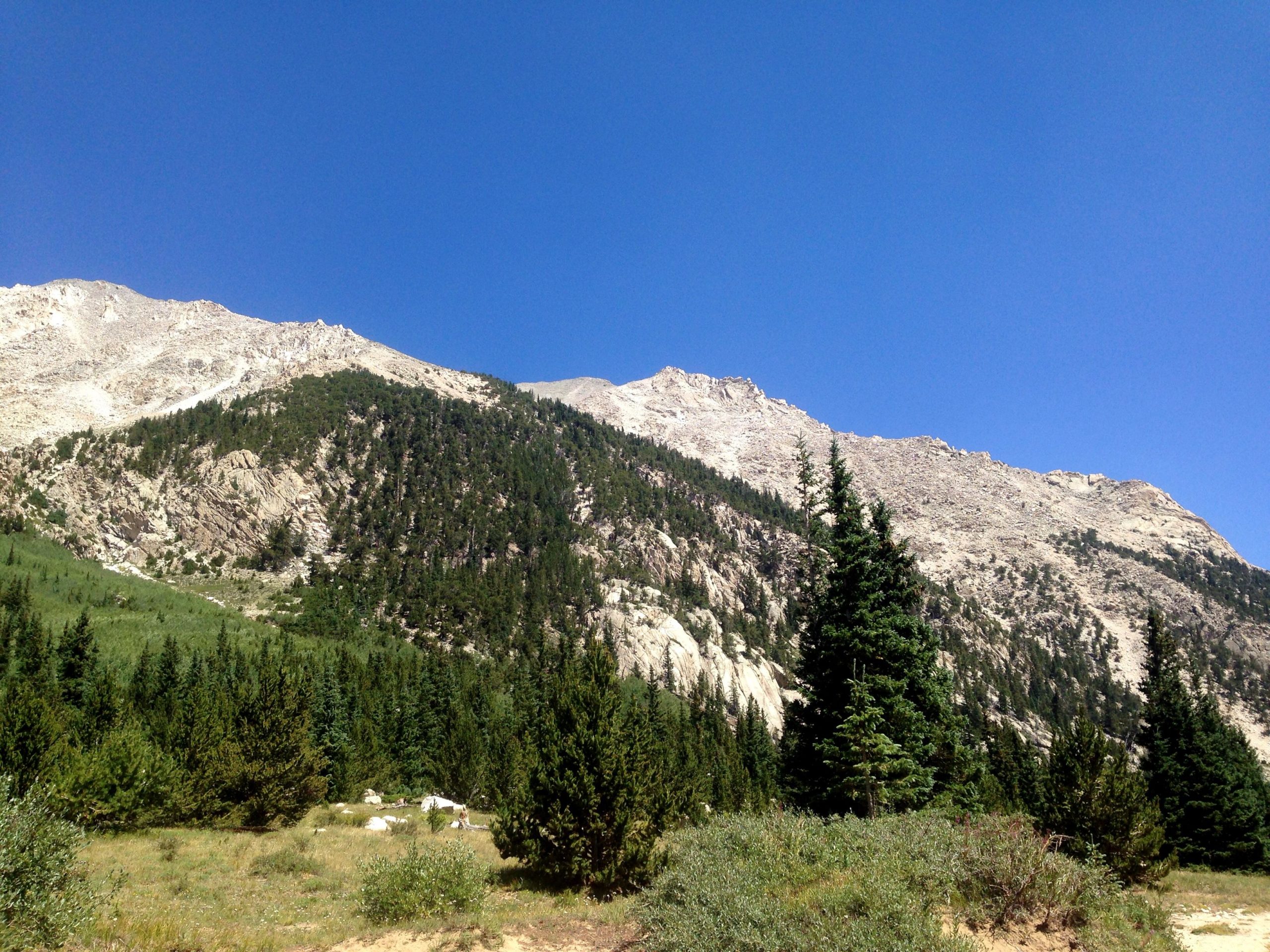 A scenic landscape featuring a mountain range with rocky peaks under a clear blue sky. In the foreground, there are lush green trees and shrubs, creating a natural setting. Browns Creek Trail mountain bike trail.
