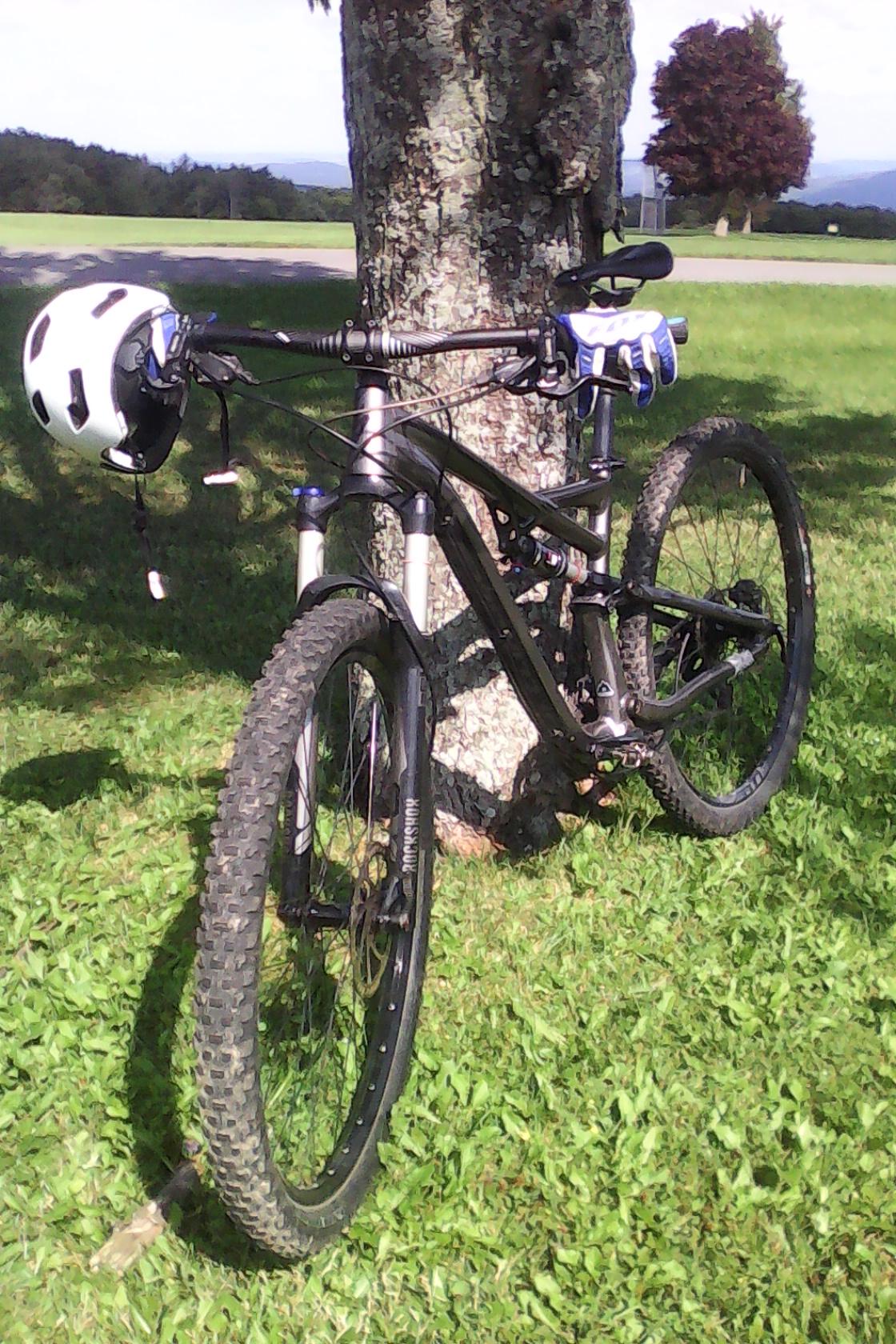 Specialized Camber Comp 29: A black mountain bike leaning against a tree in a grassy area, with a white helmet and blue gloves resting on the handlebars. The background features open fields and distant hills under a clear sky.
