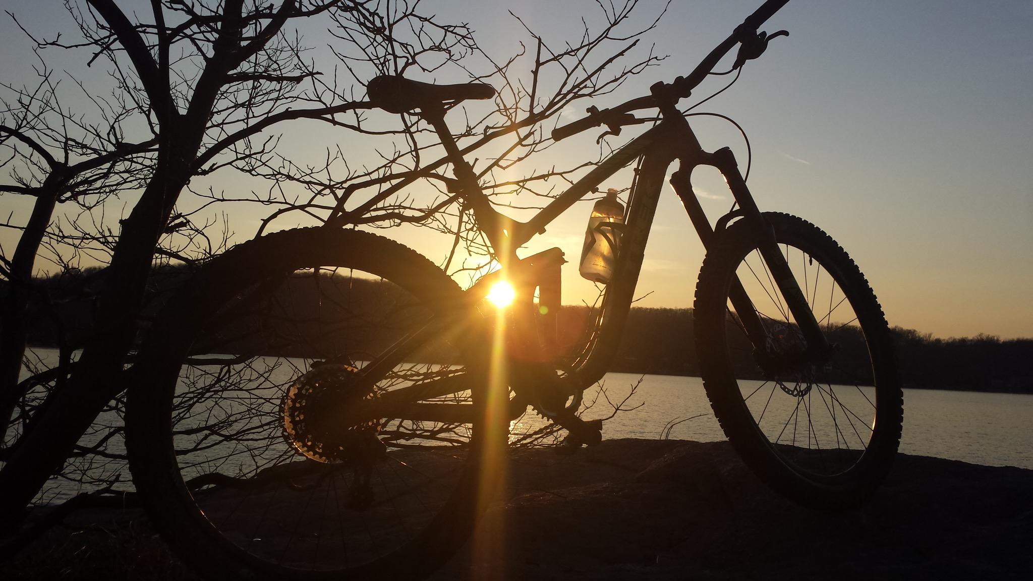 Trek Remedy 8: A silhouette of a mountain bike resting on a rock near a body of water, framed by a bare tree branch, with the sun setting in the background, casting warm light across the scene.