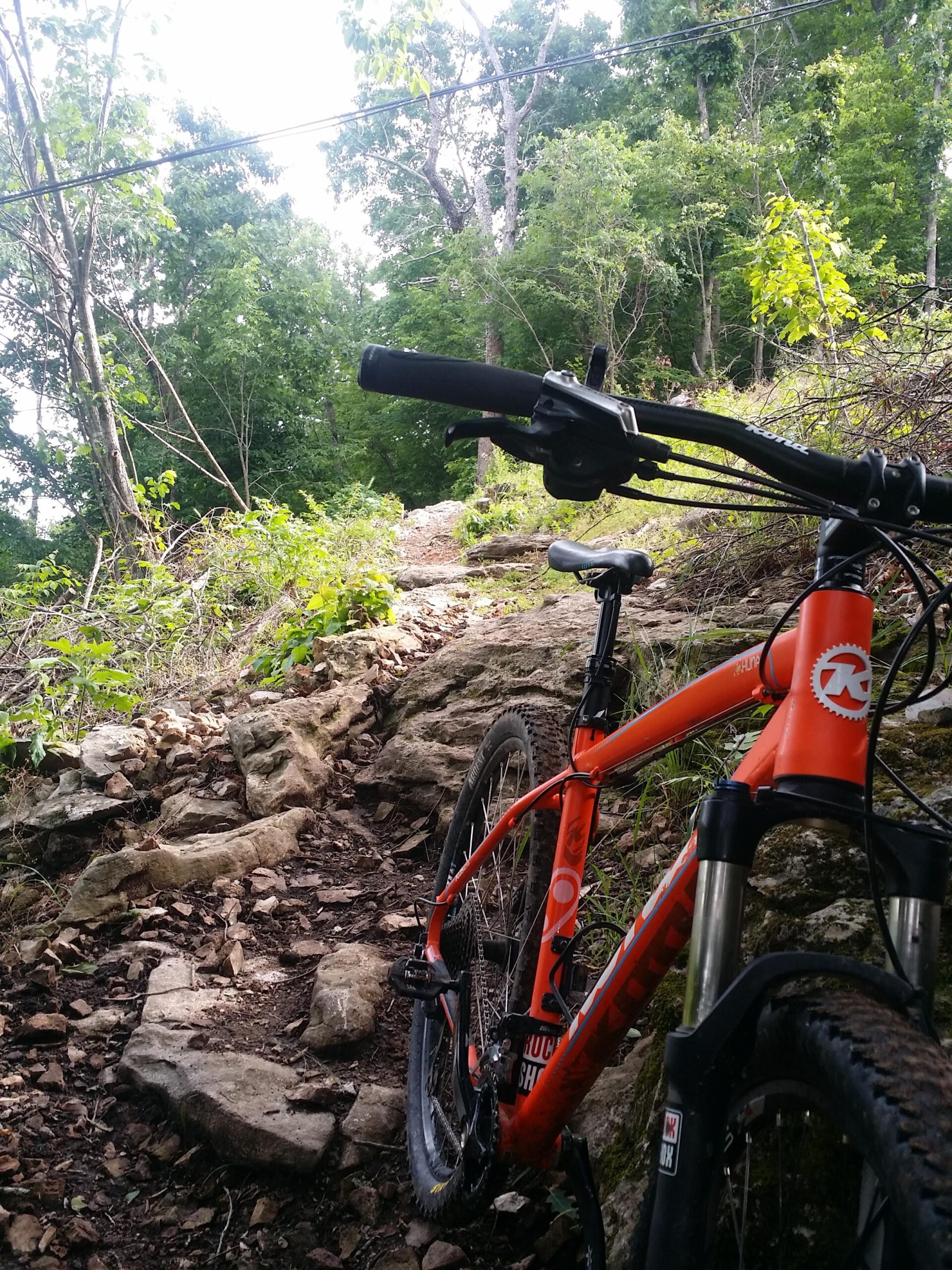 Kona Kahuna: A close-up view of a bright orange mountain bike resting on a rocky trail surrounded by lush greenery and trees. The path ahead is steep and uneven, leading deeper into the forest.