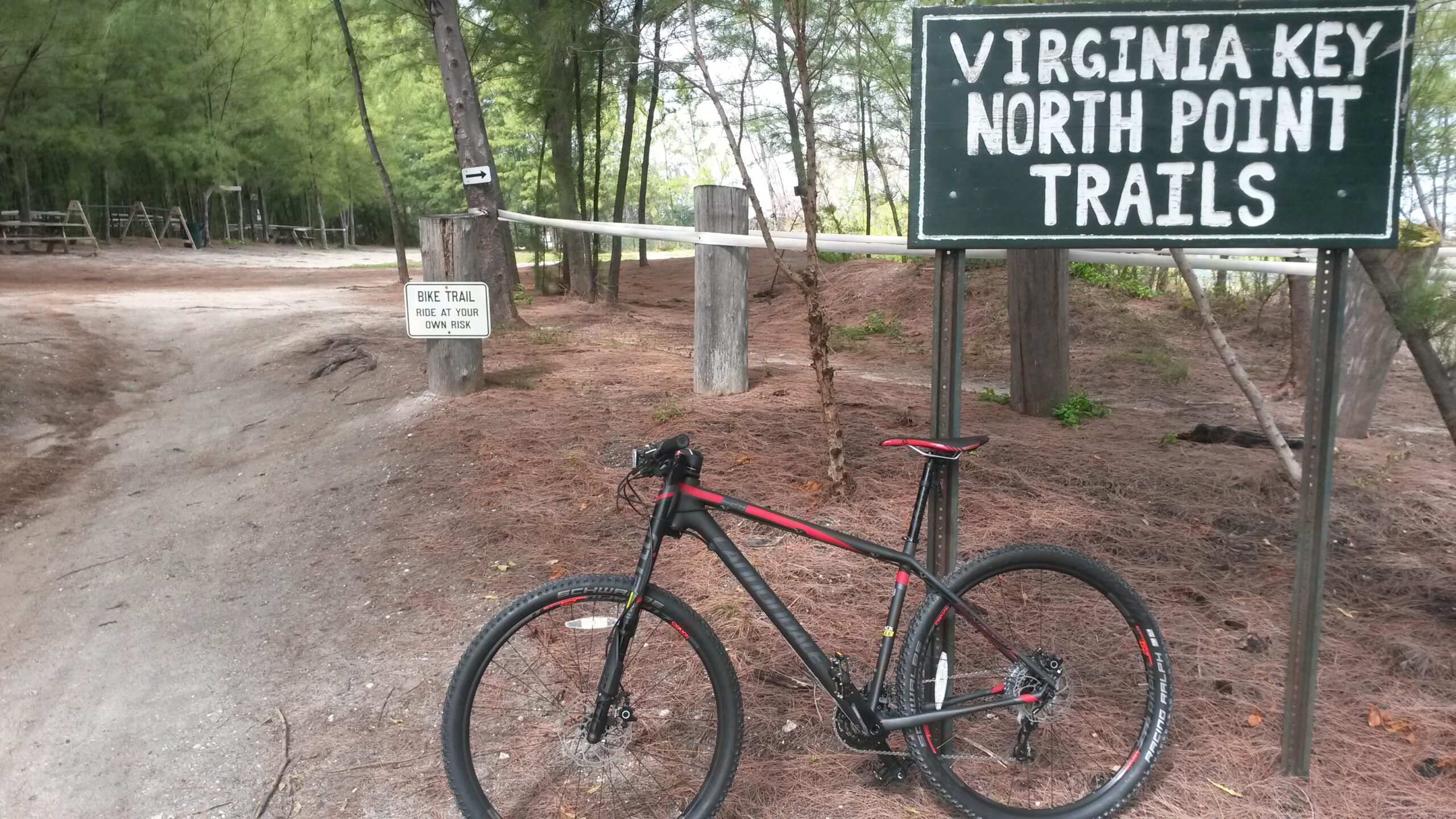 Cannondale F29 Carbon 3: A mountain bike parked near a sign for the Virginia Key North Point Trails, with an additional sign indicating "Bike Trail - Ride at Your Own Risk." The scene is surrounded by pine trees and a dirt path leading into the trail.