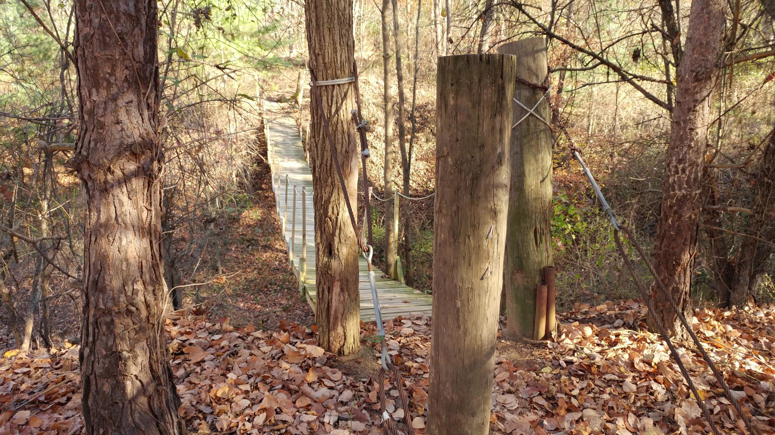 A wooden bridge stretches over a forested area, surrounded by trees and fallen leaves. Two large wooden posts support the bridge, with cables running between them. The scene captures the natural beauty of the woods in autumn, with sunlight filtering through the foliage. Vultures Knob mountain bike trail.