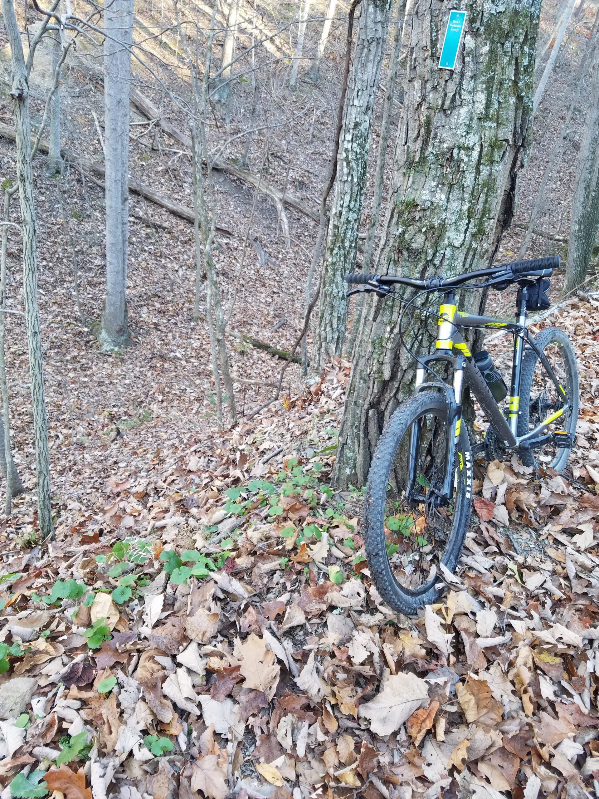 A mountain bike leaning against a tree in a wooded area covered with fallen leaves. The trail is visible in the background, surrounded by trees in a natural setting. A trail marker is attached to the tree. Bear Bottom Loop mountain bike trail.