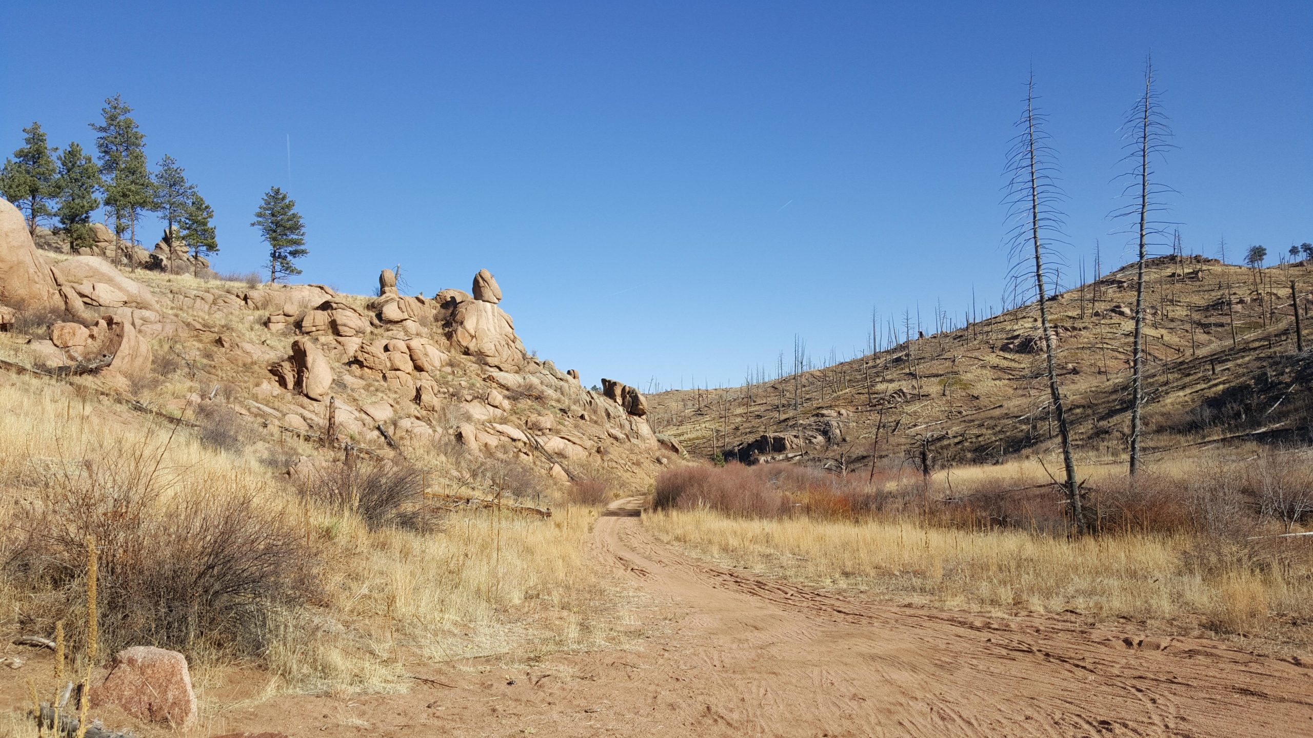 A dirt path winds through a rocky landscape under a clear blue sky. In the foreground, dry grasses and bushes line the trail, while large boulders and sloped hills rise in the background. Some trees appear to be burned and lifeless, adding texture to the scenery. The overall scene captures a natural, rugged terrain. Buffalo Creek mountain bike trail.