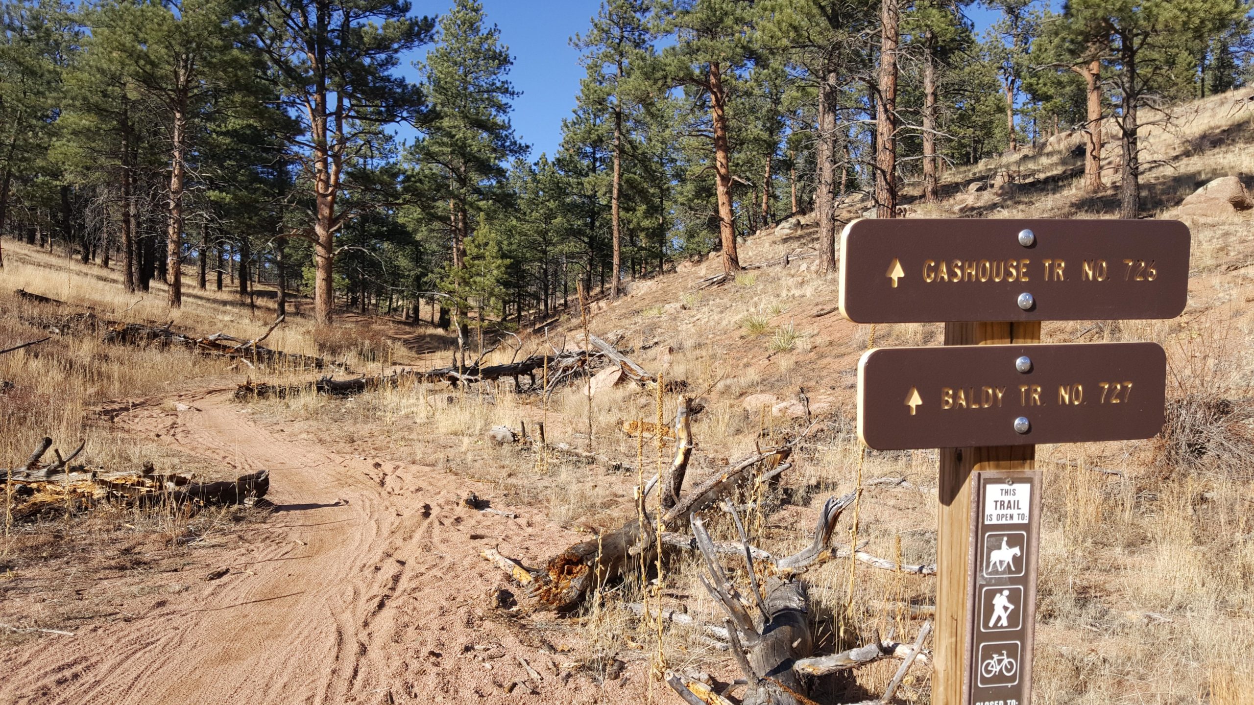Alt text: A trail intersection sign with directions for Cashouse Trail No. 726 and Baldy Trail No. 727, set in a forested area with pine trees and patches of dry grass. The ground shows a sandy, winding path. Buffalo Creek mountain bike trail.